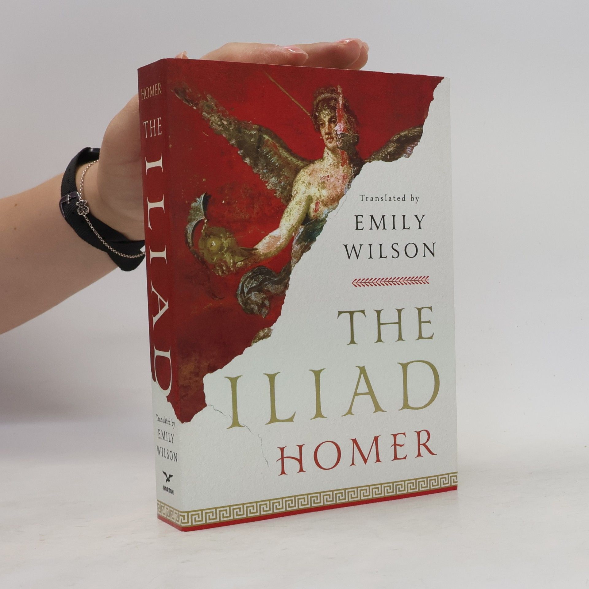 Homér The Iliad