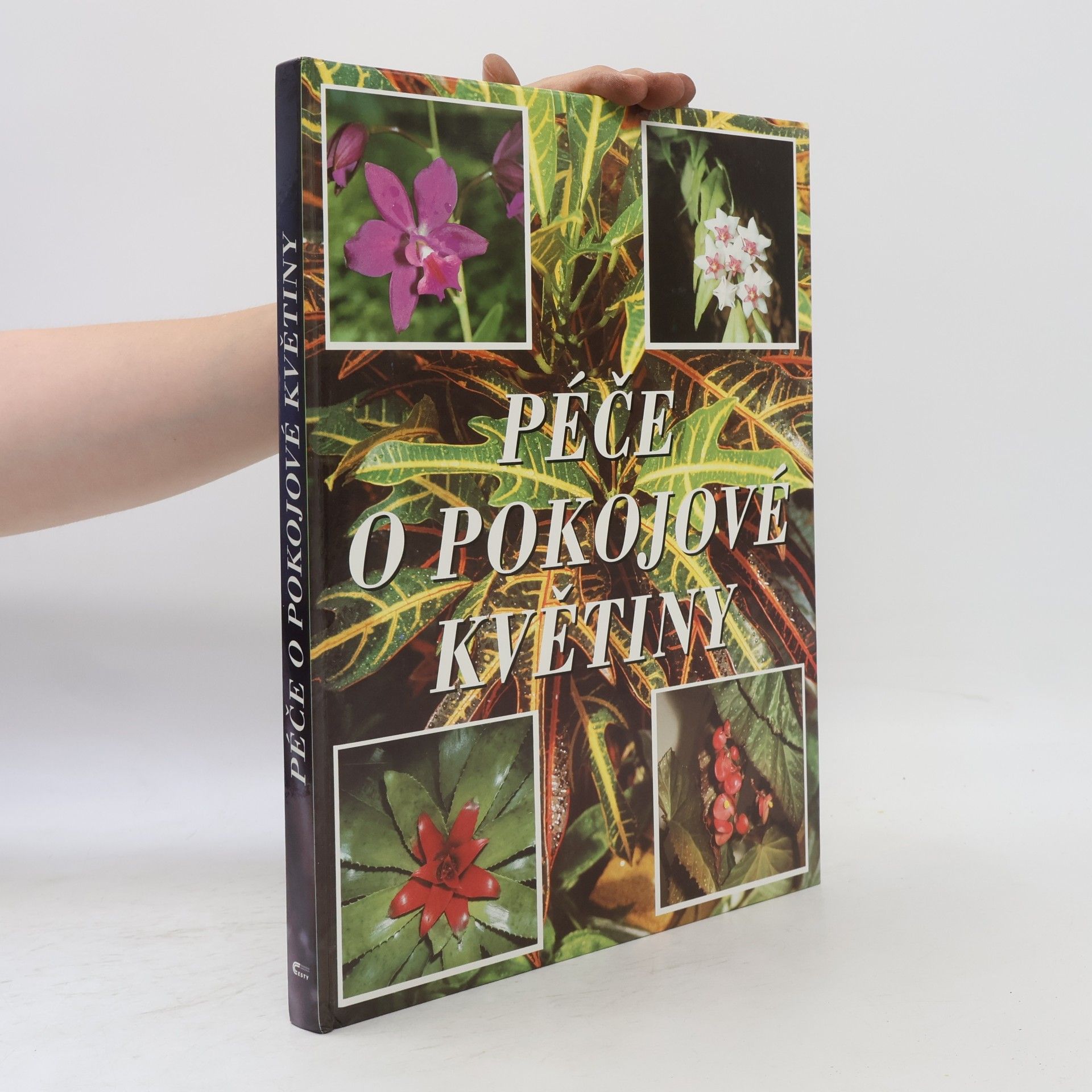 Péče o pokojové květiny