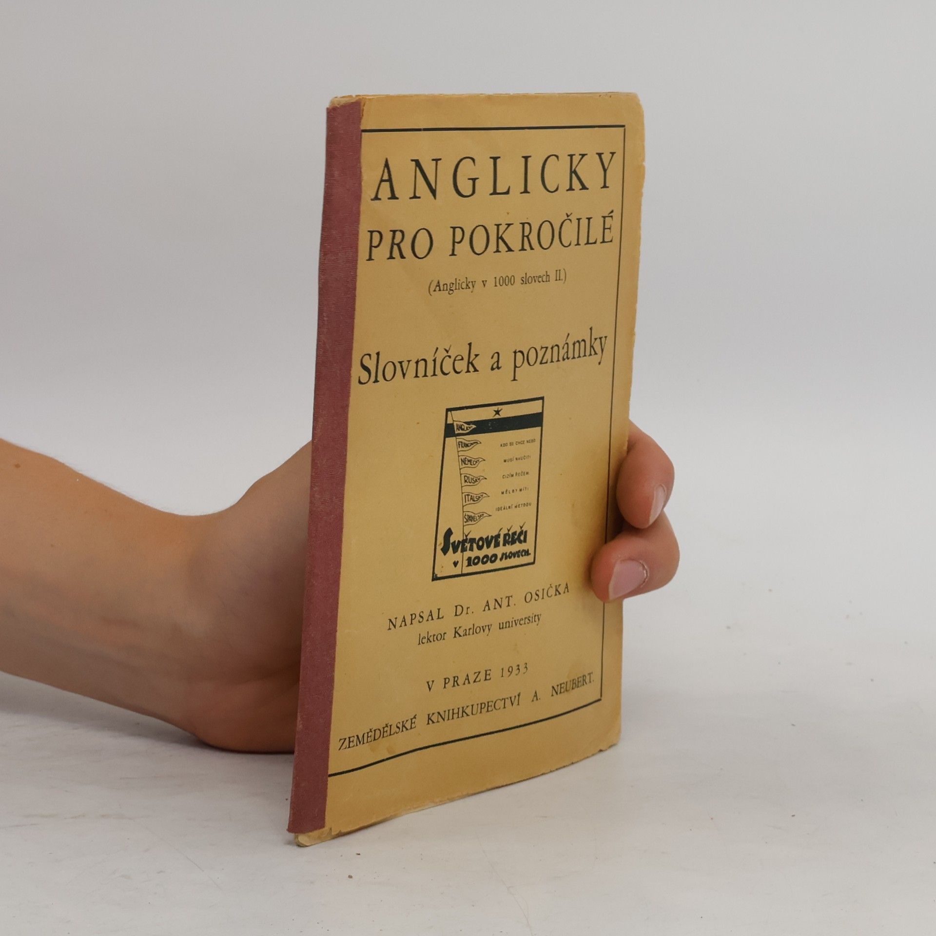 Anglicky pro pokročilé