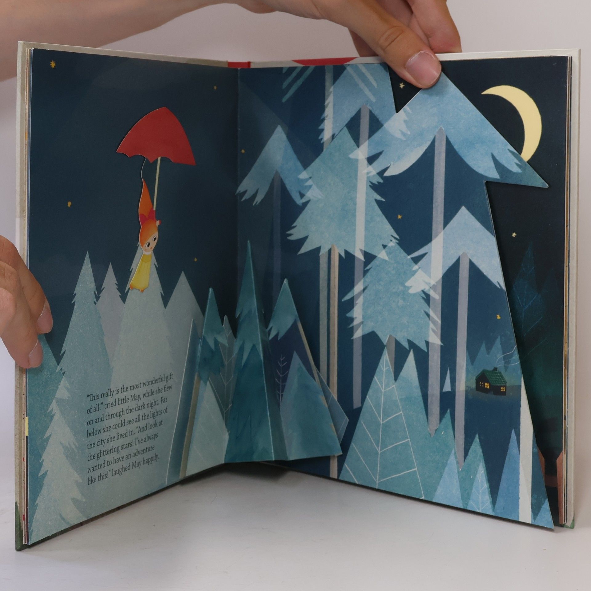 Alžběta Niebauerová Little May & the Magic Umbrella