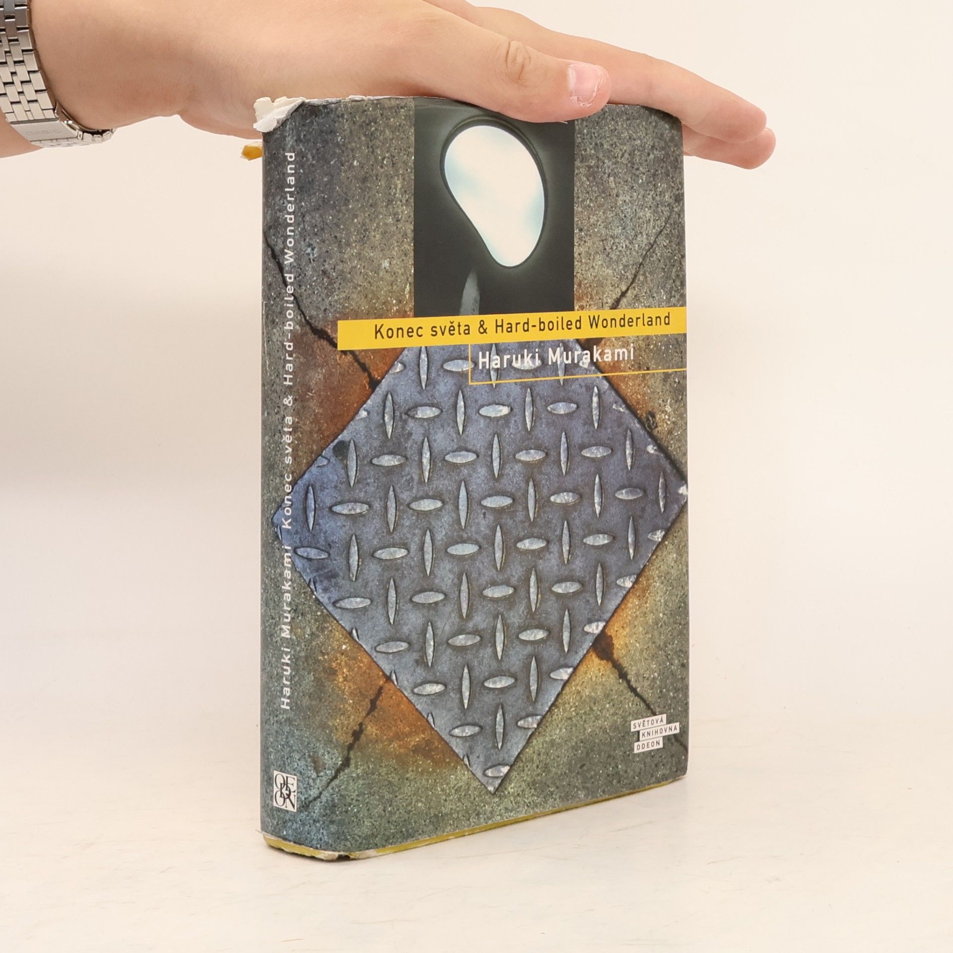 Haruki Murakami Konec světa & Hard-boiled Wonderland