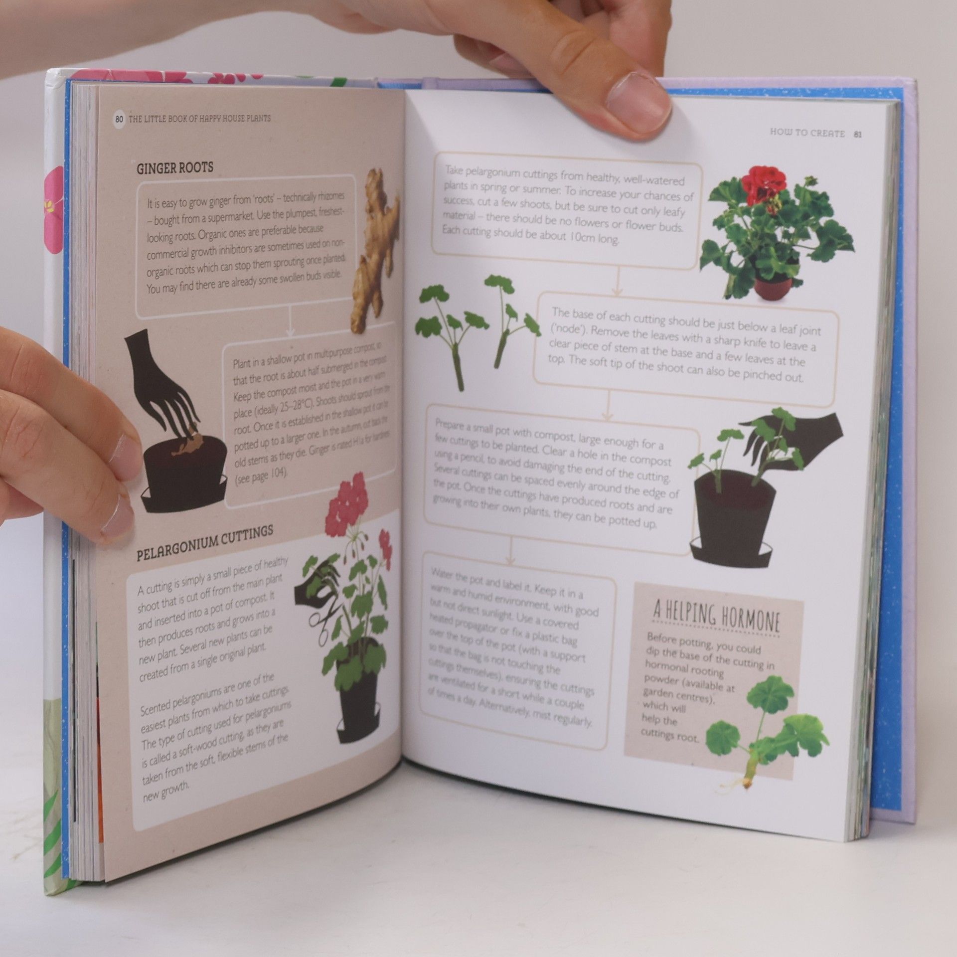 Holly Farrell RHS Little Book of Happy Houseplants