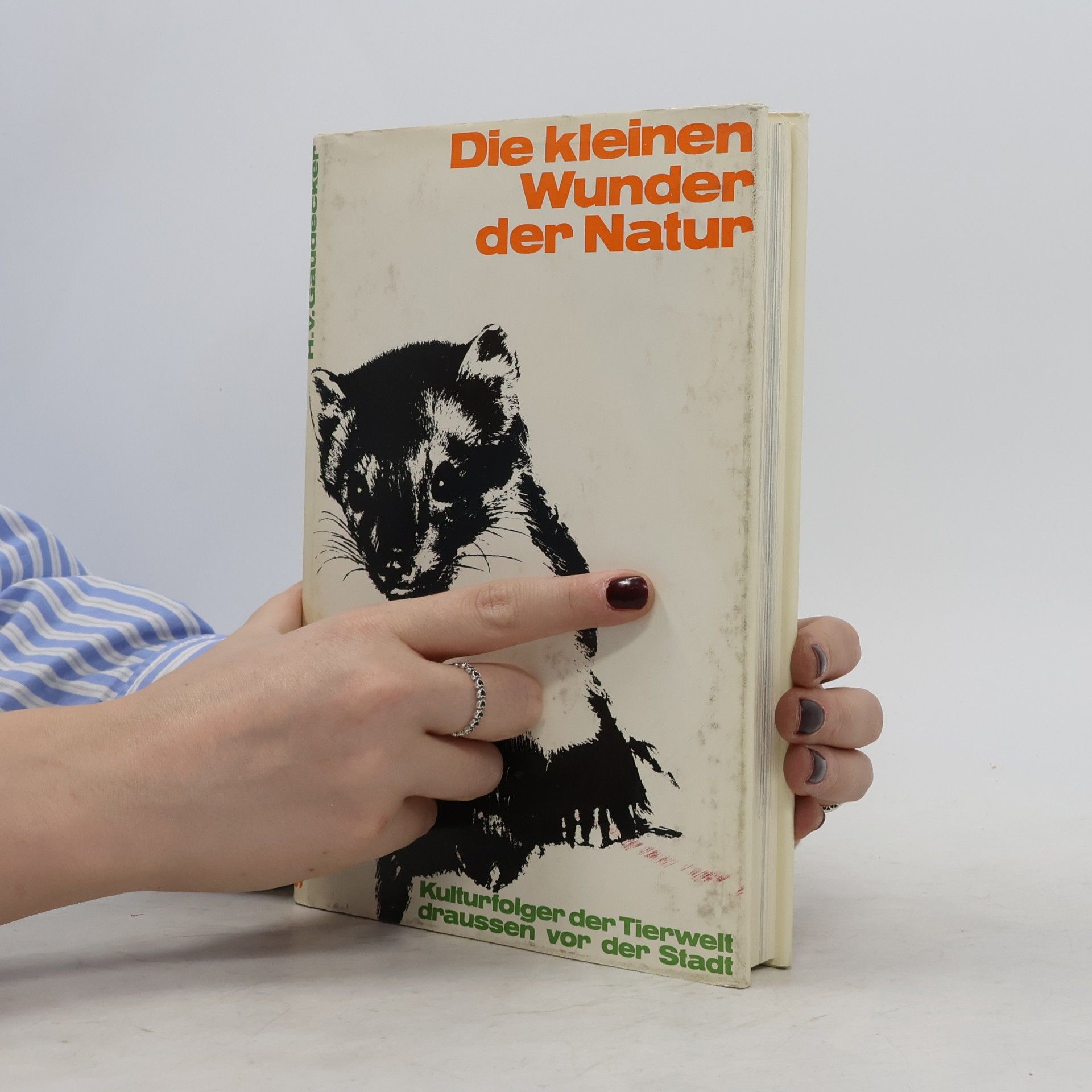 H.V. Gaudecker Die kleinen Wunder der Natur
