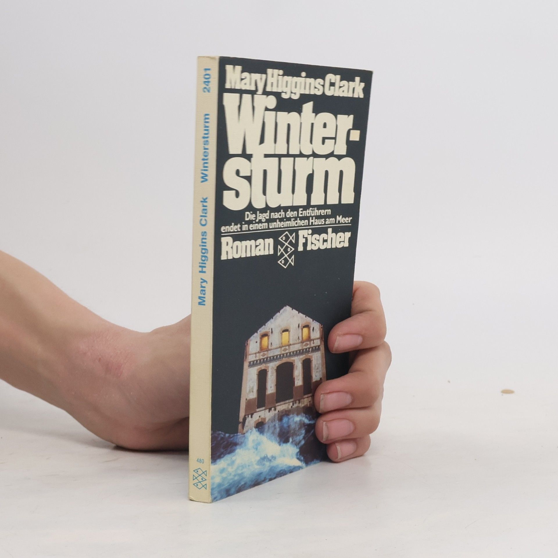 Mary Higgins Clark Wintersturm