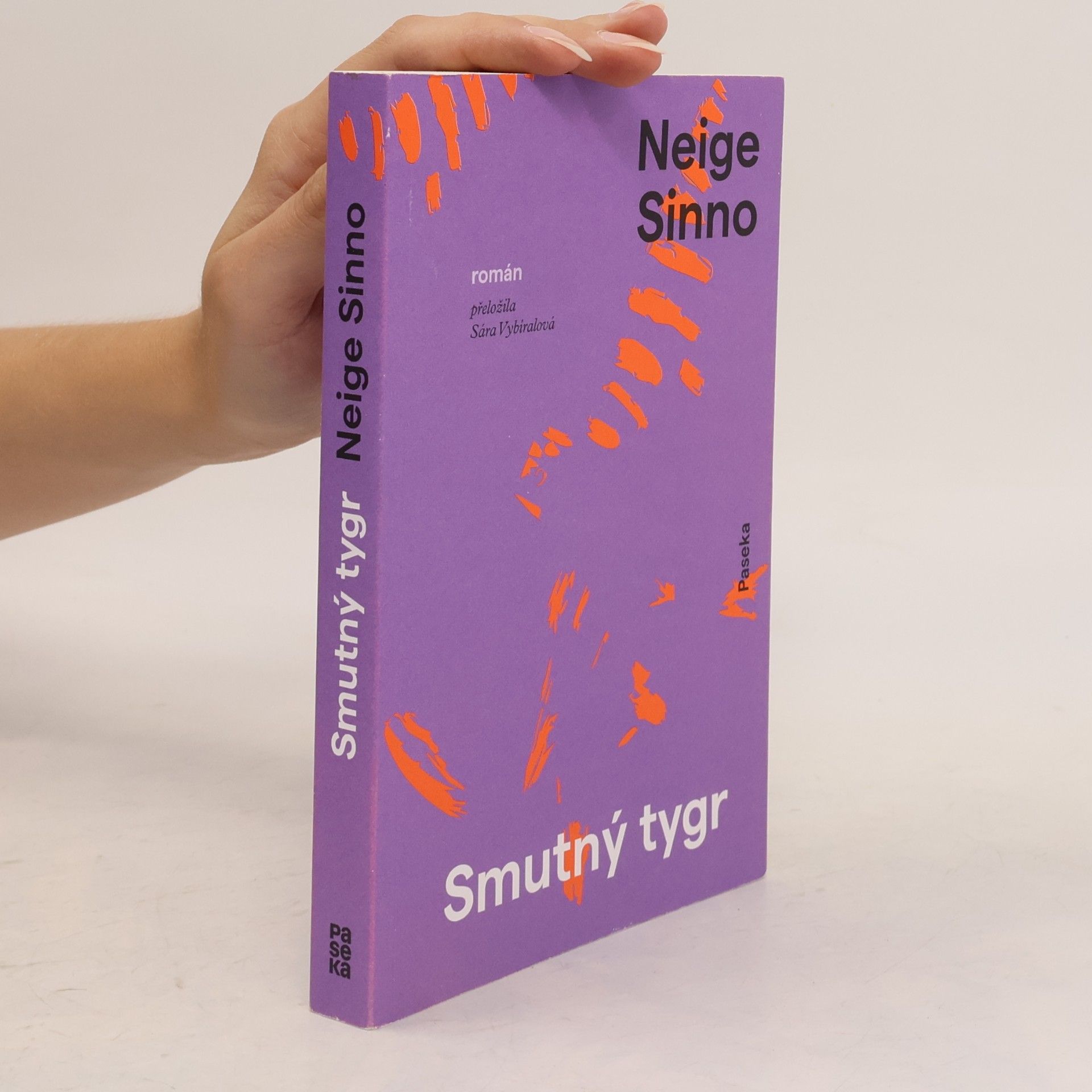 Neige Sinno Smutný tygr