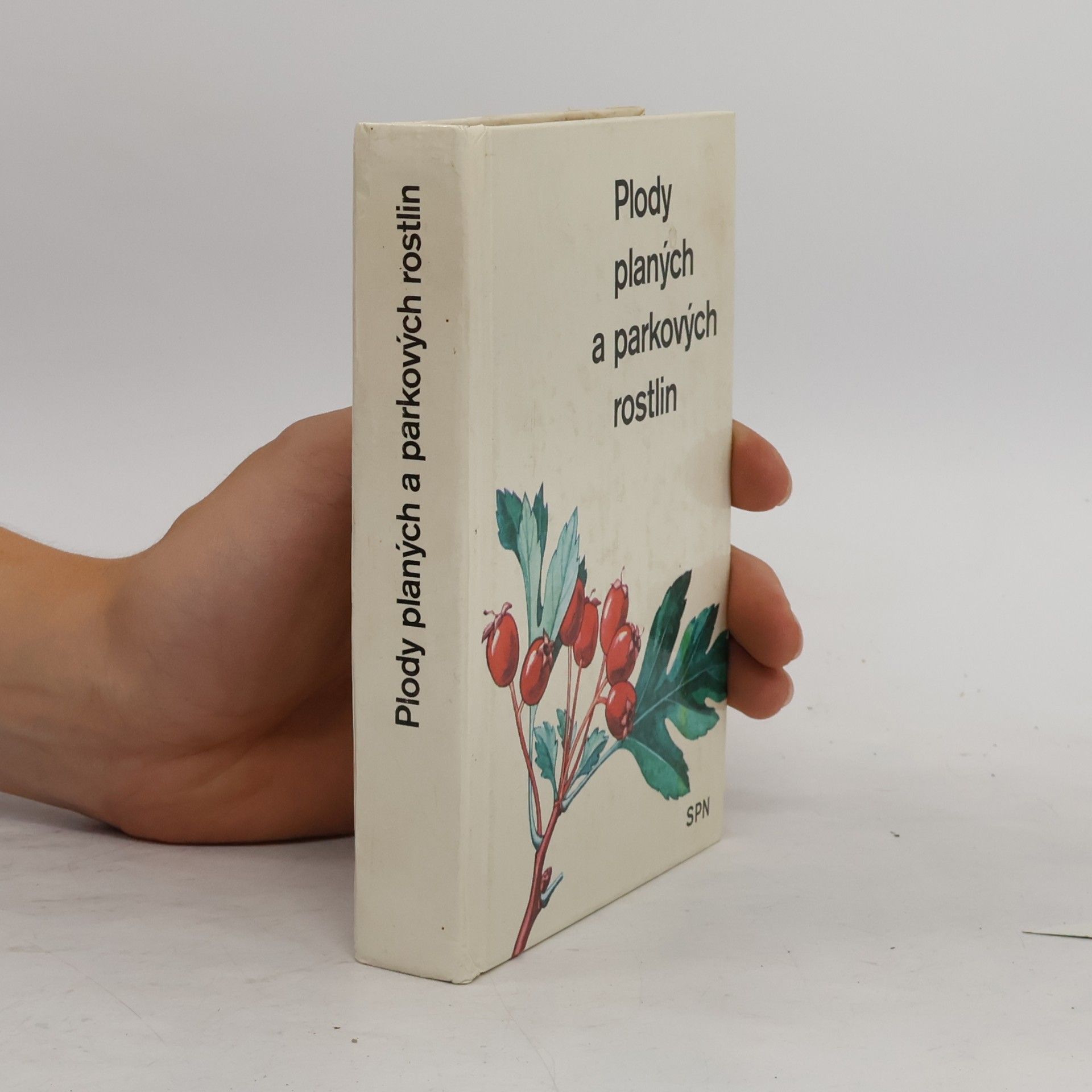 Přemysl Vanke Plody planých a parkových rostlin. Kapesní atlas