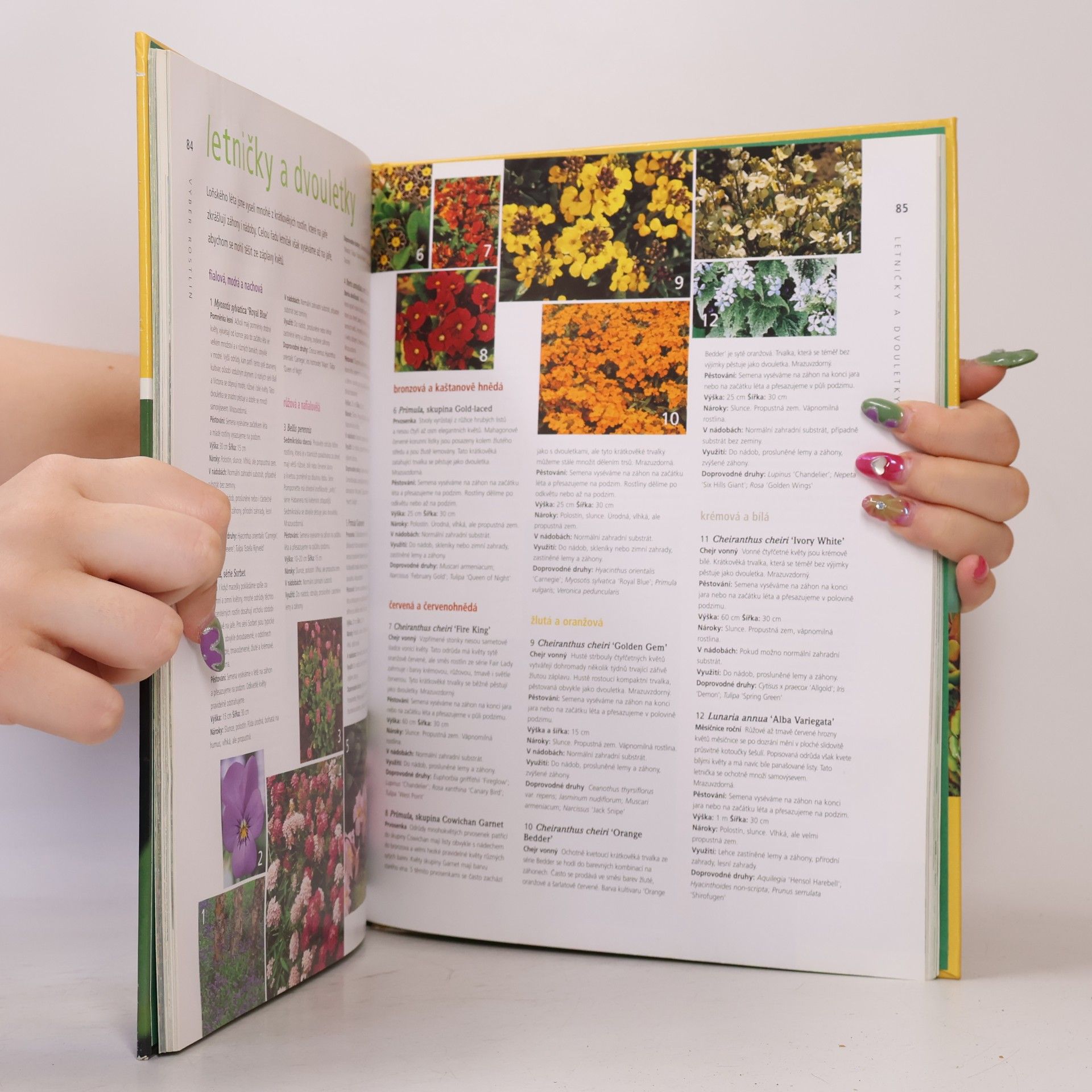 Steve Bradley Pozdní jaro