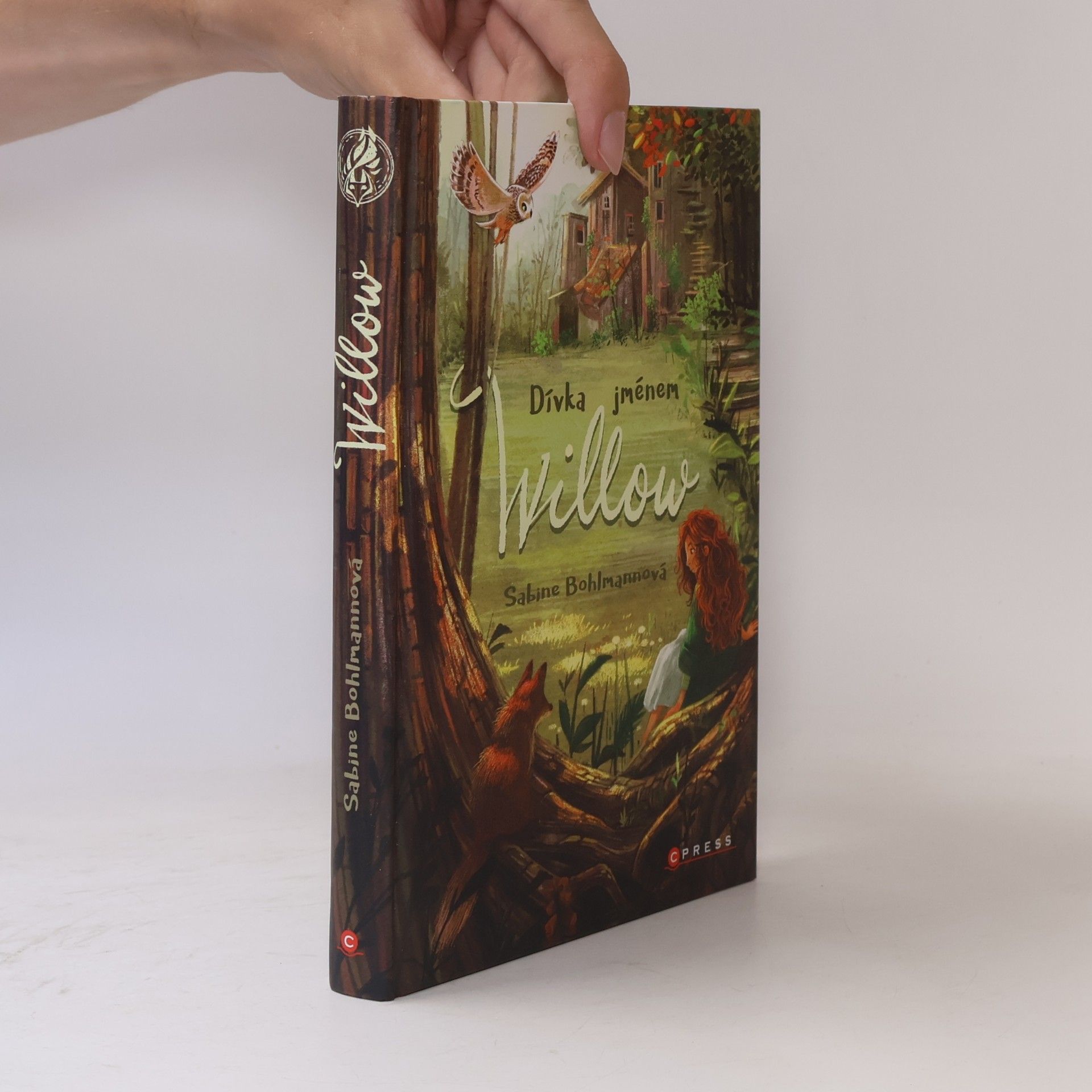 Sabine Bohlmann Dívka jménem Willow