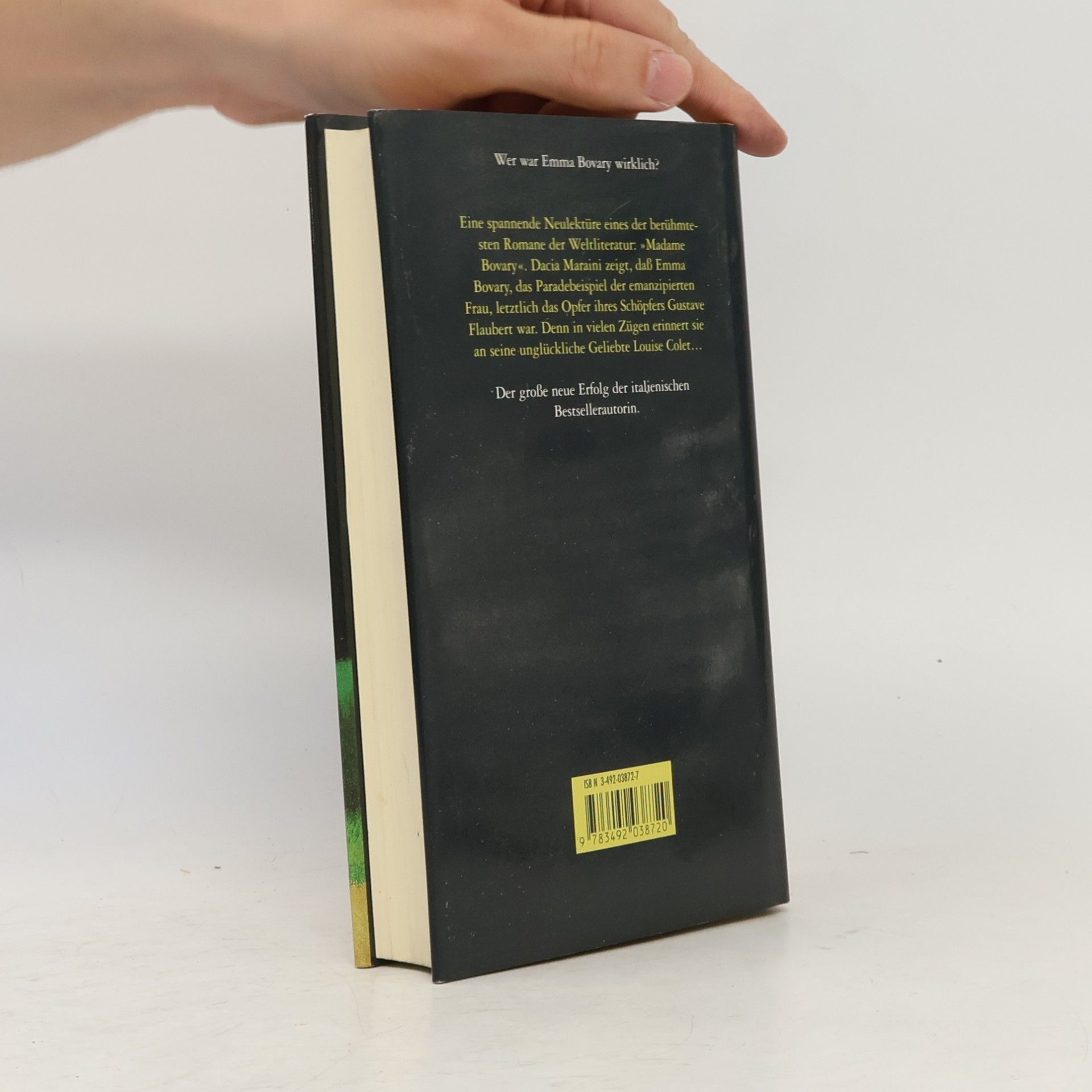 Dacia Maraini Nachforschungen über Emma B.
