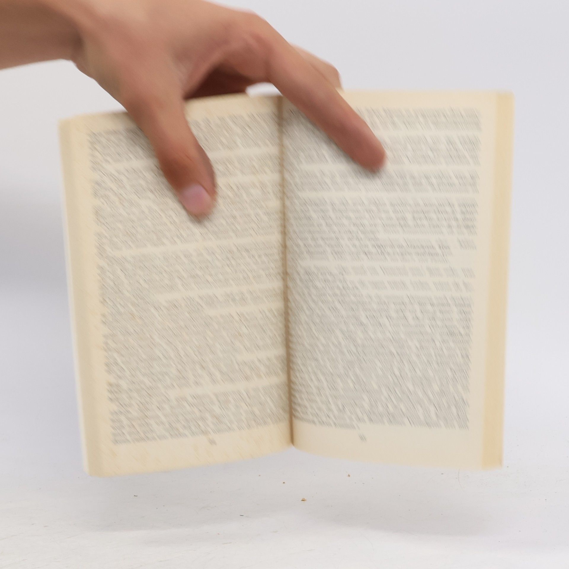 Georgette Heyer Die galante Entführung