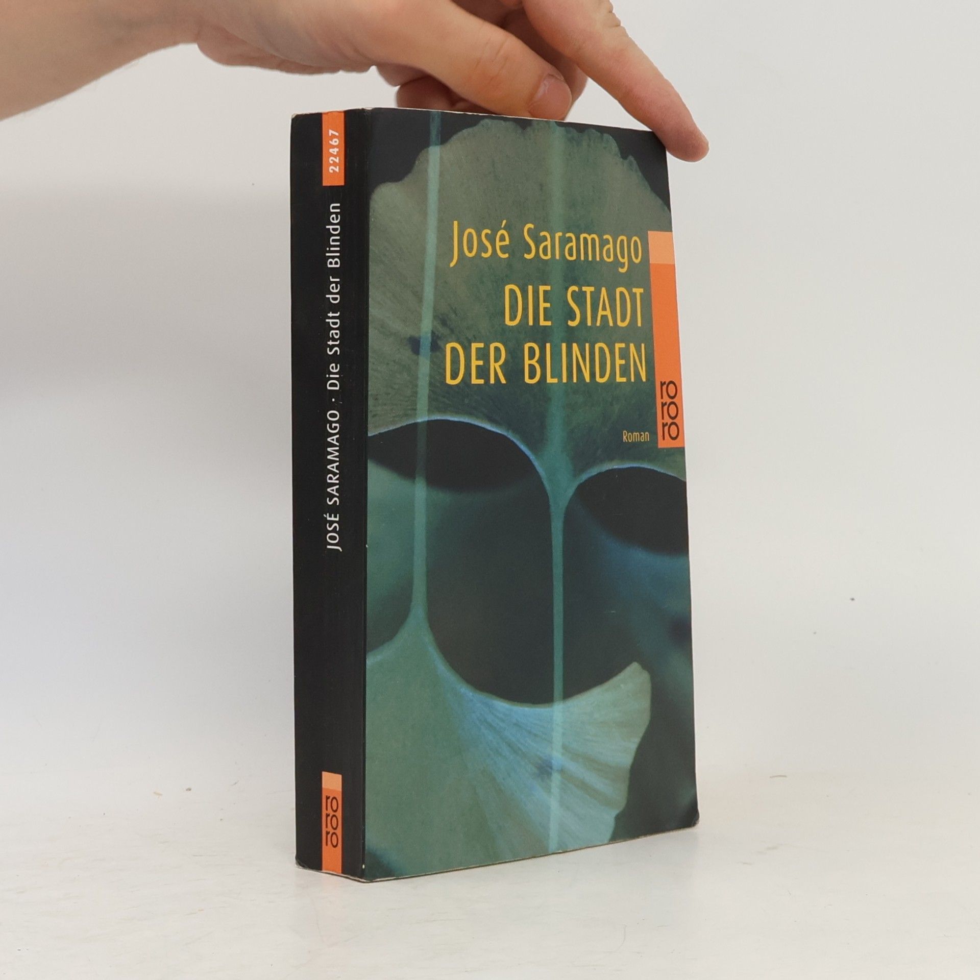 José Saramago Die Stadt der Blinden