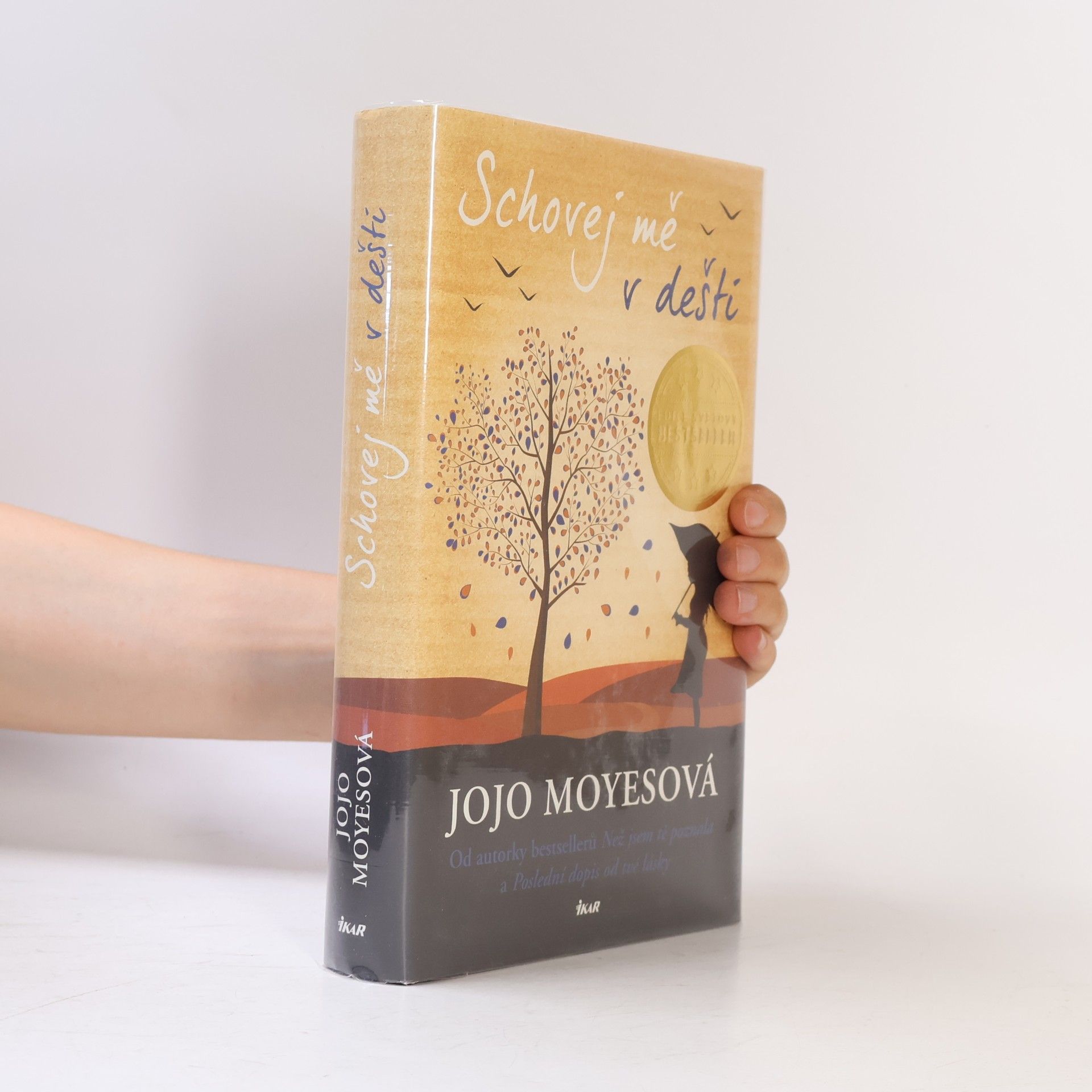 Jojo Moyes Schovej mě v dešti