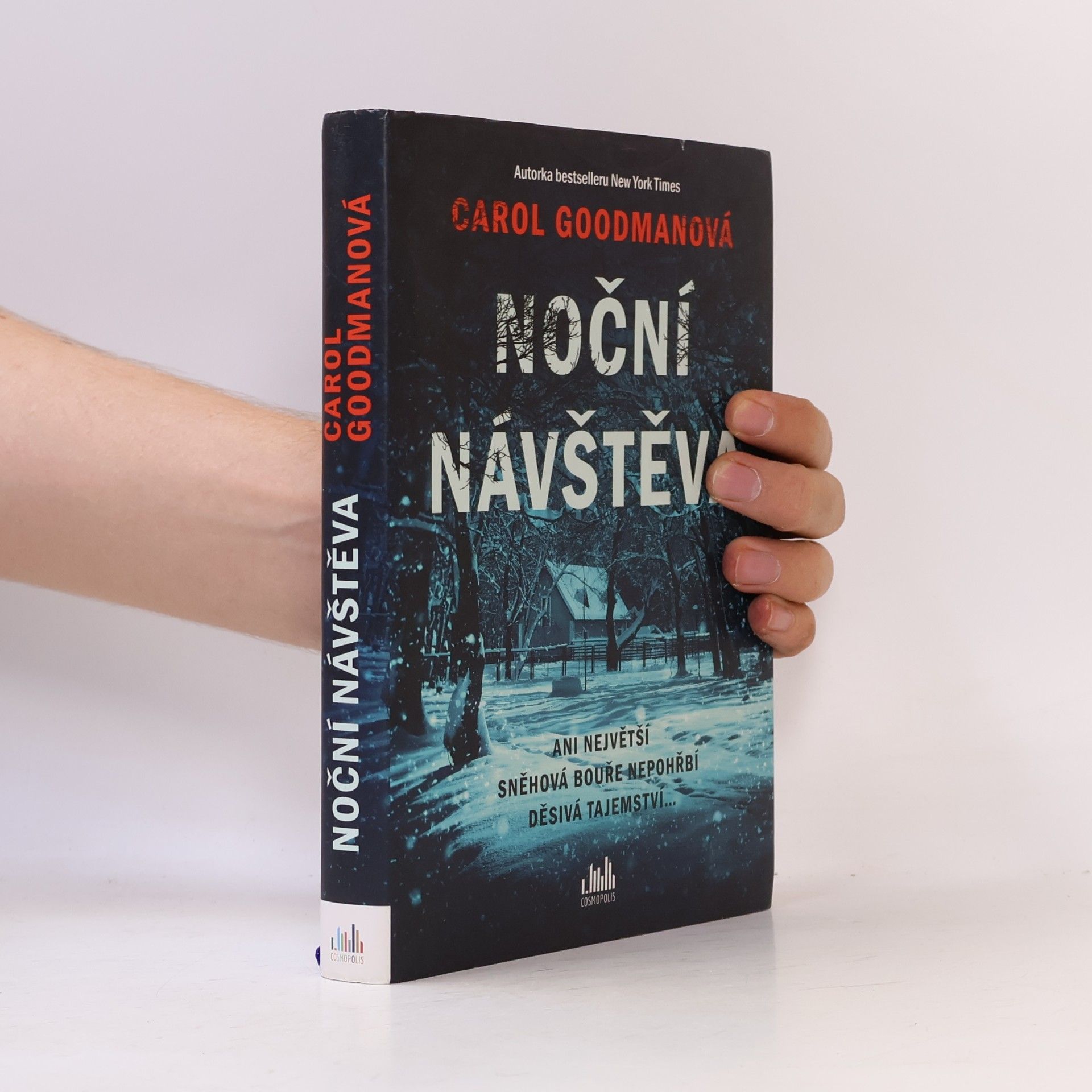 Lee Carroll Noční návštěva