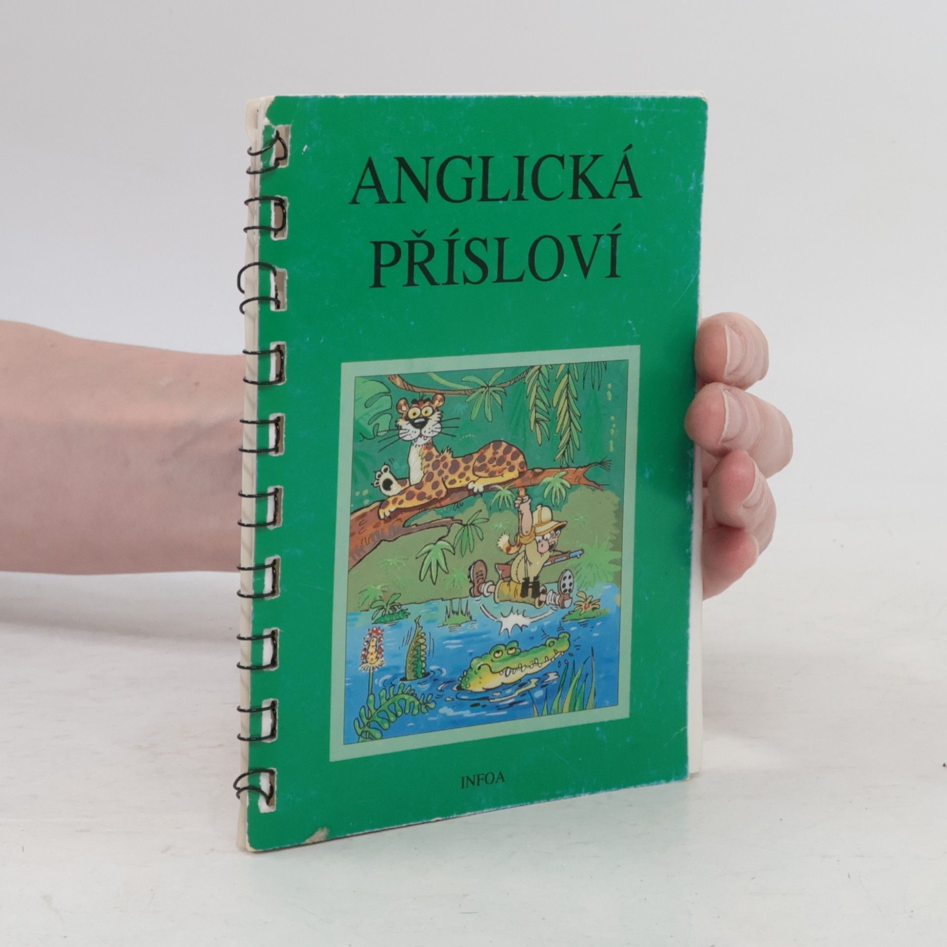 Auteurscollectief Anglická přísloví