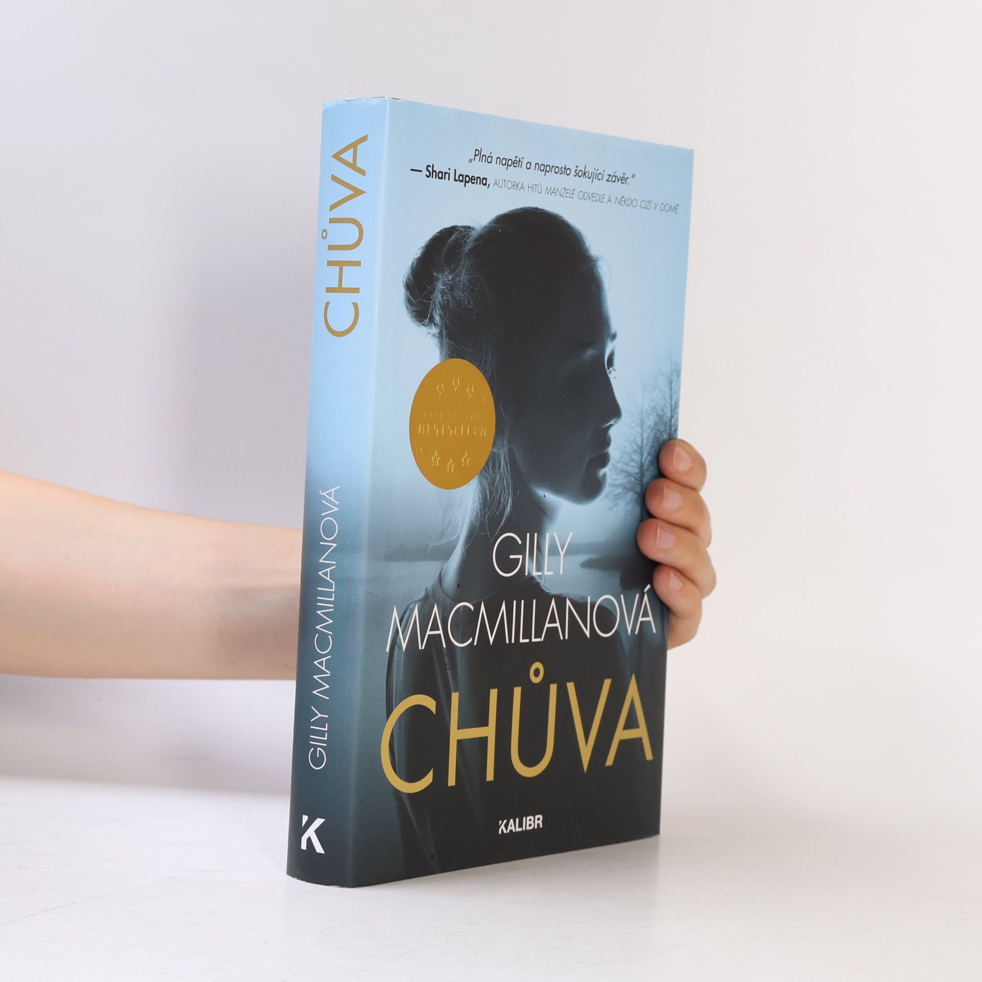 Gilly Macmillan Chůva