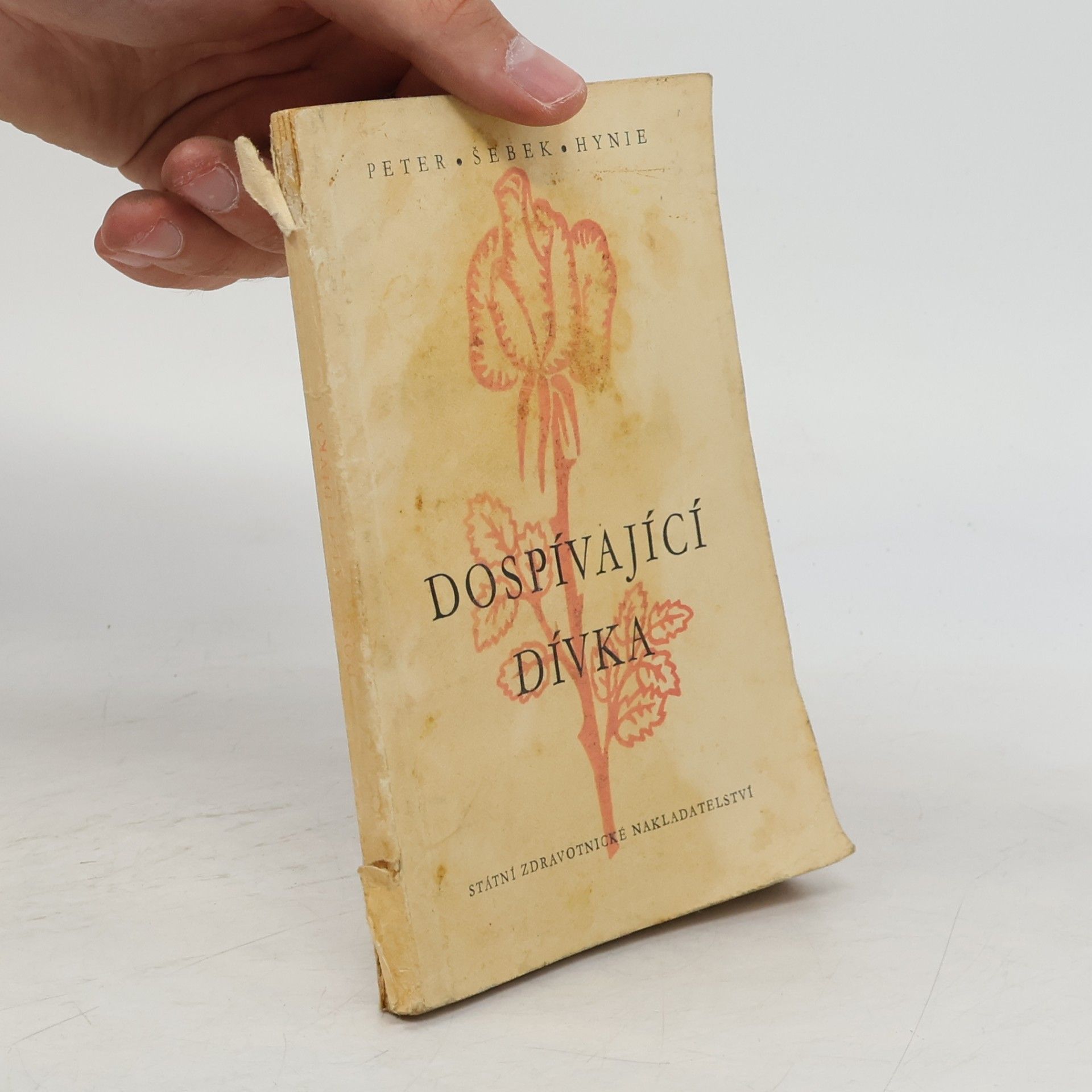 Václav Šebek Dospívající dívka