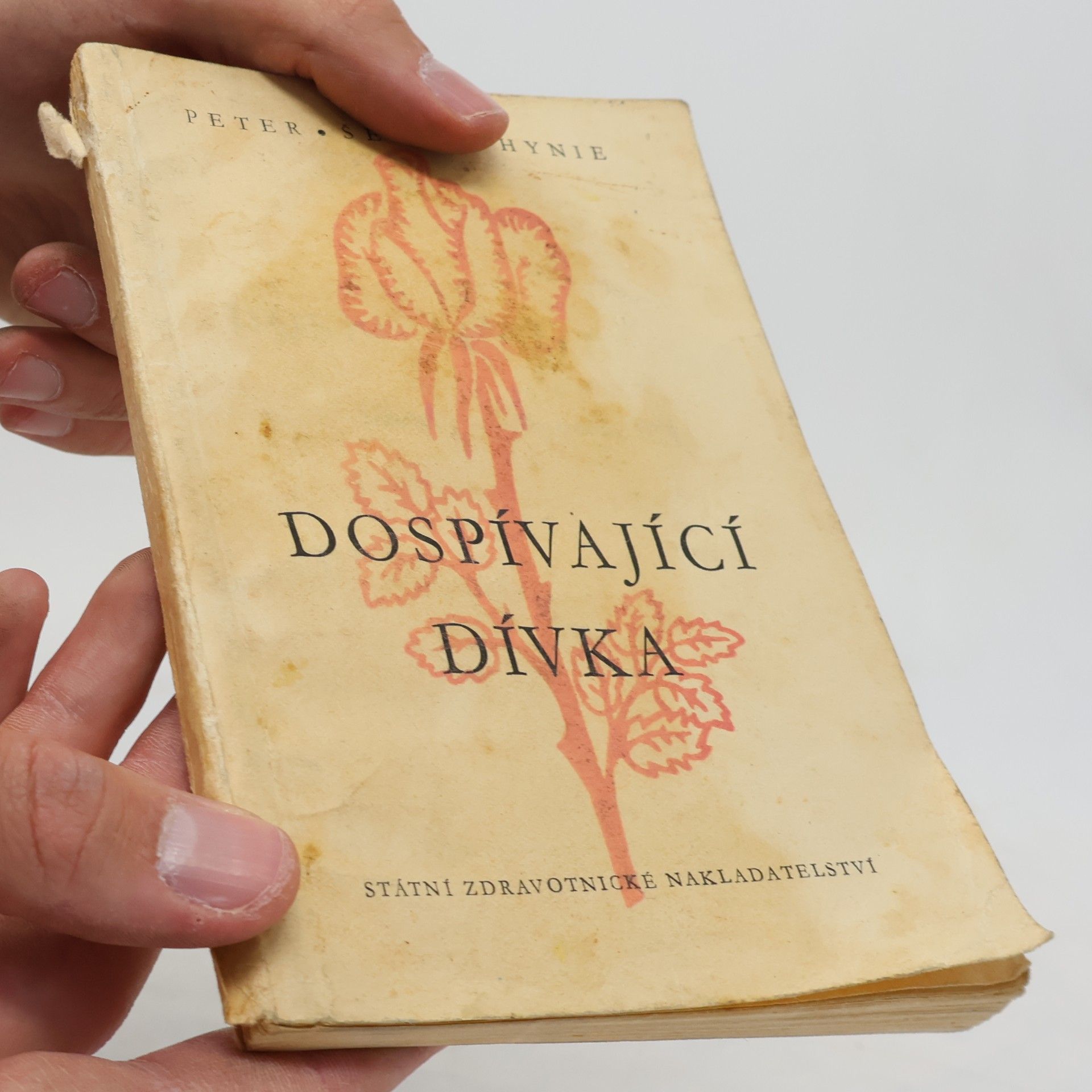 Václav Šebek Dospívající dívka