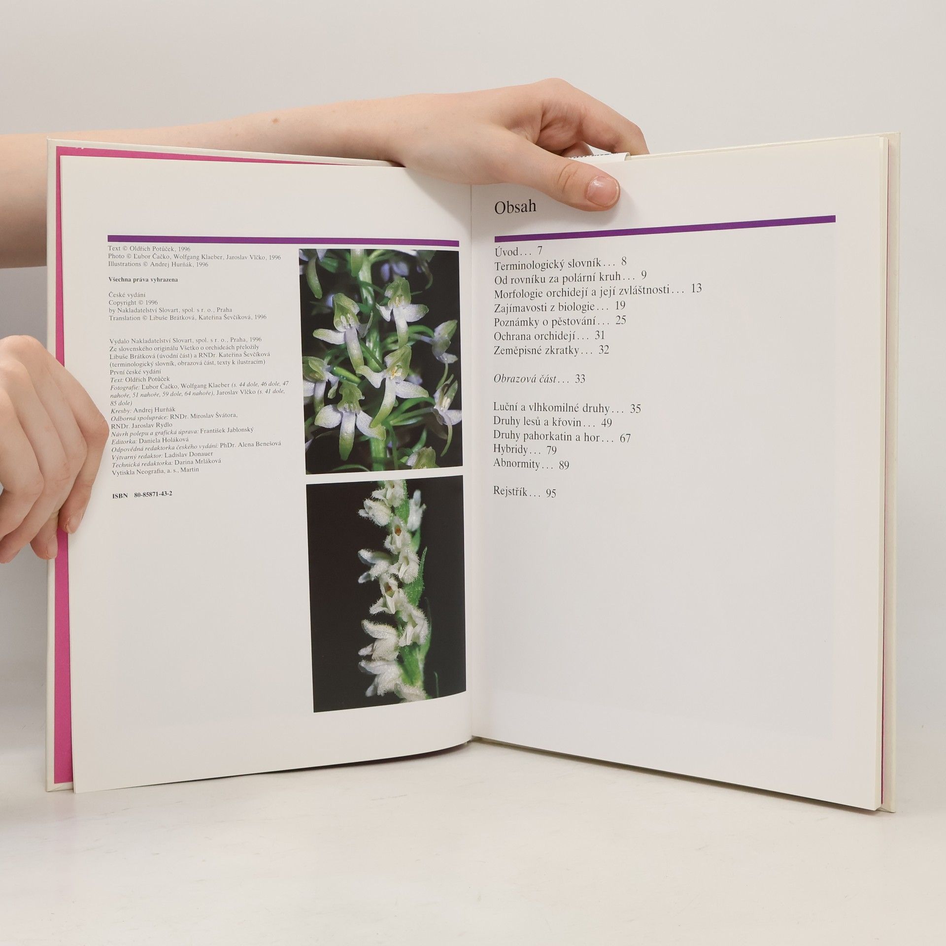 Čačko Lubor Potůček Oldřich Všechno o orchidejích
