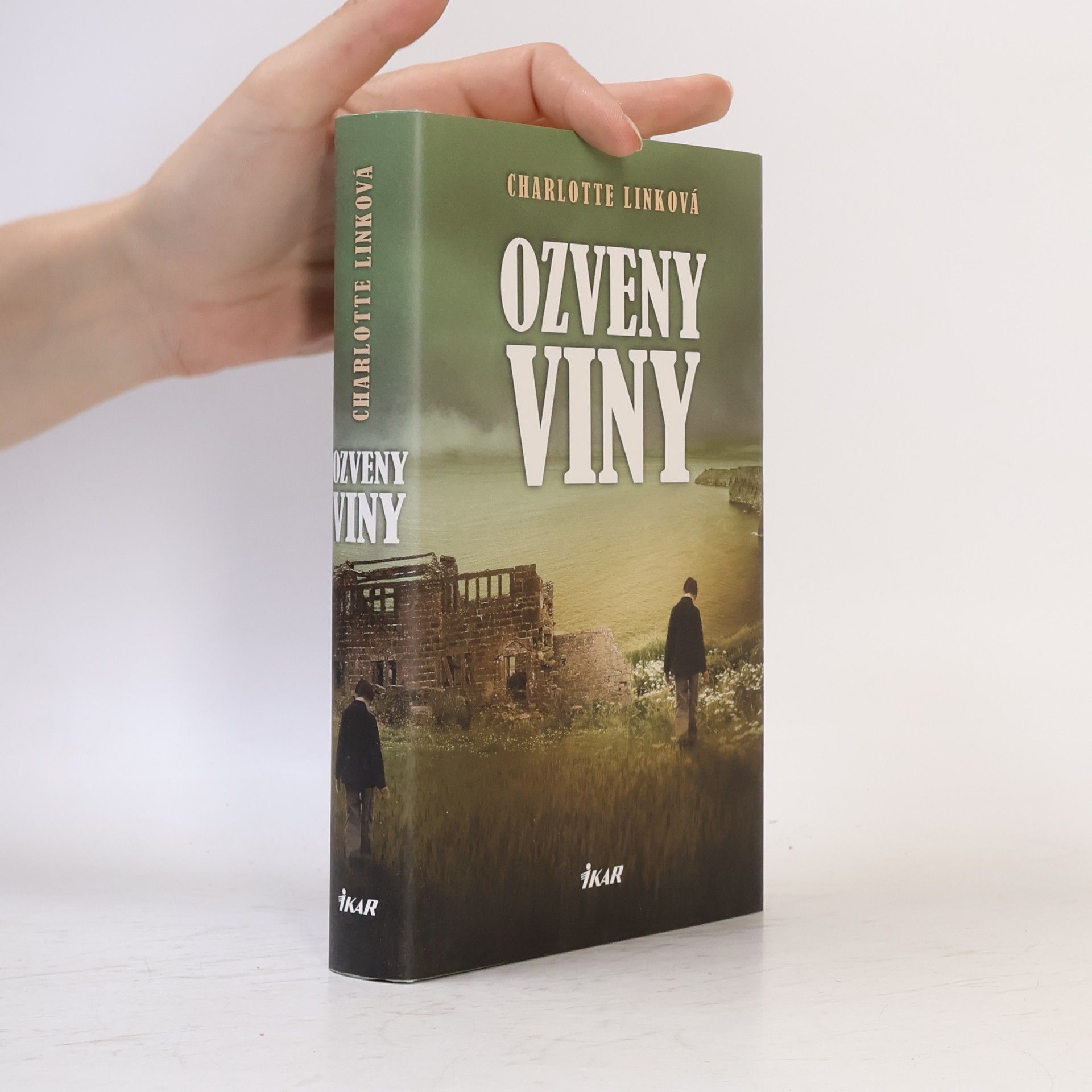Charlotte Link Ozveny viny