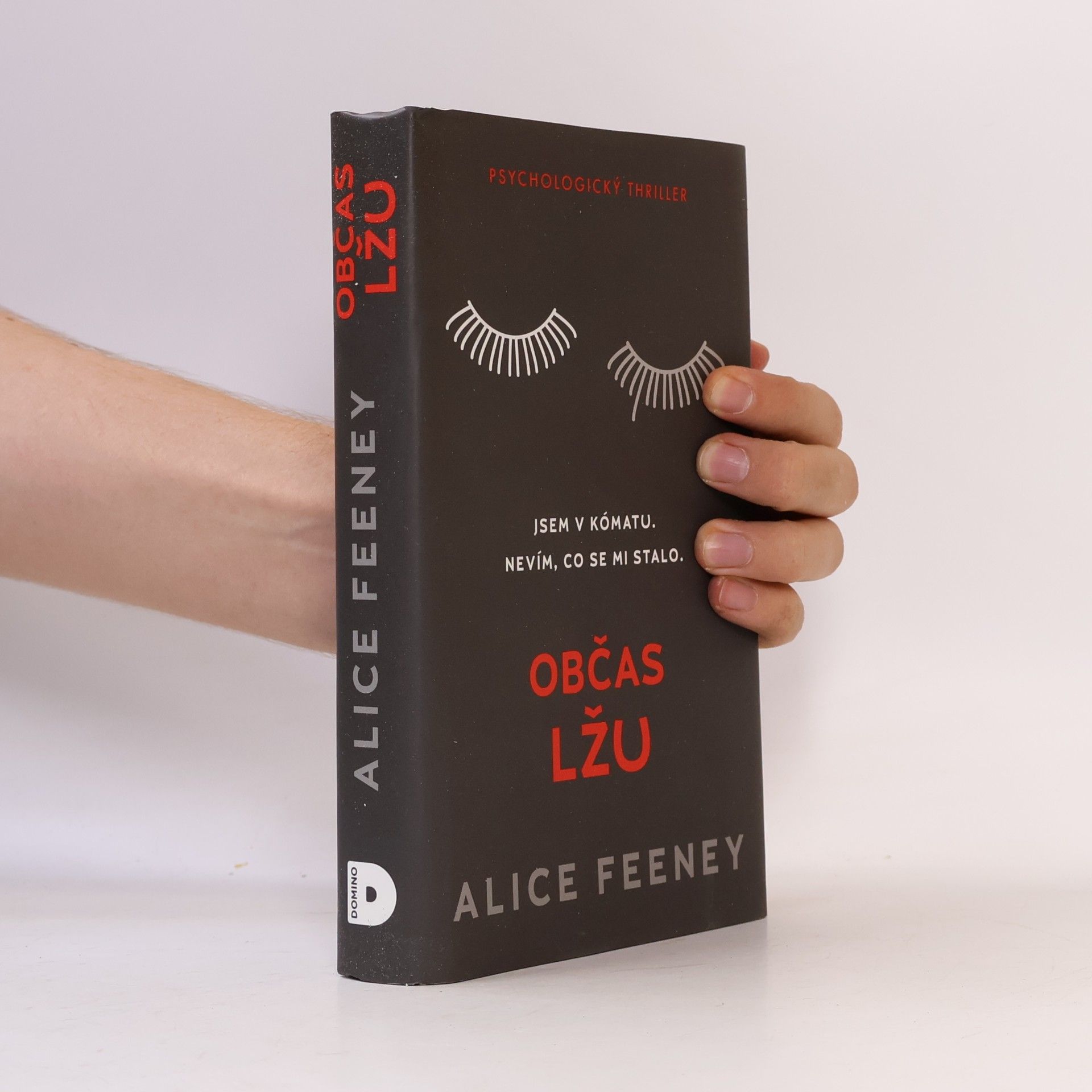 Alice Feeney Občas lžu