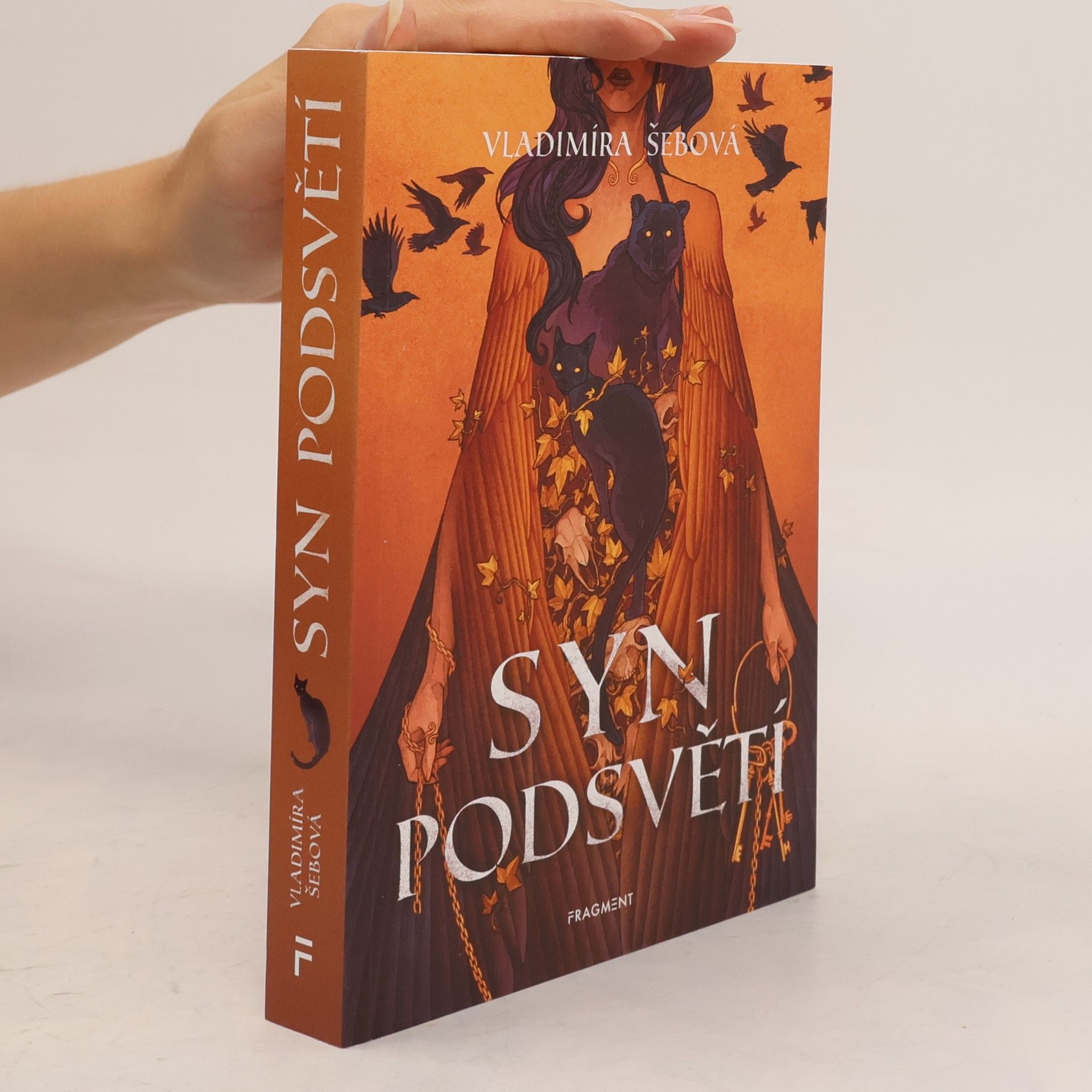 Vladimíra Šebová Syn podsvětí