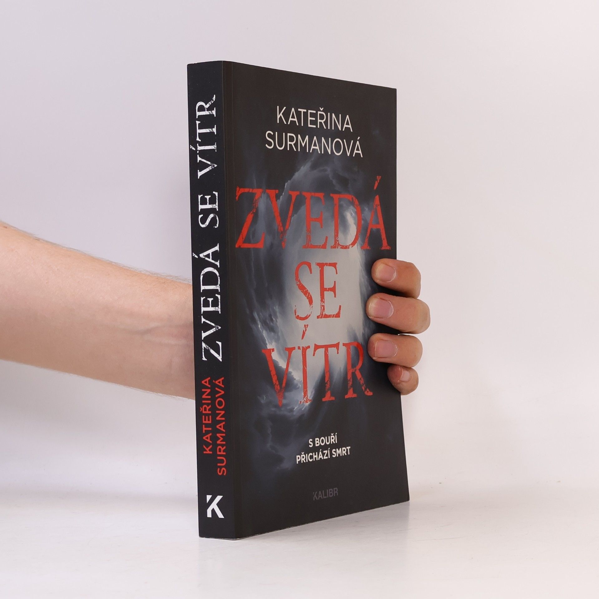 Kateřina Surmanová Zvedá se vítr