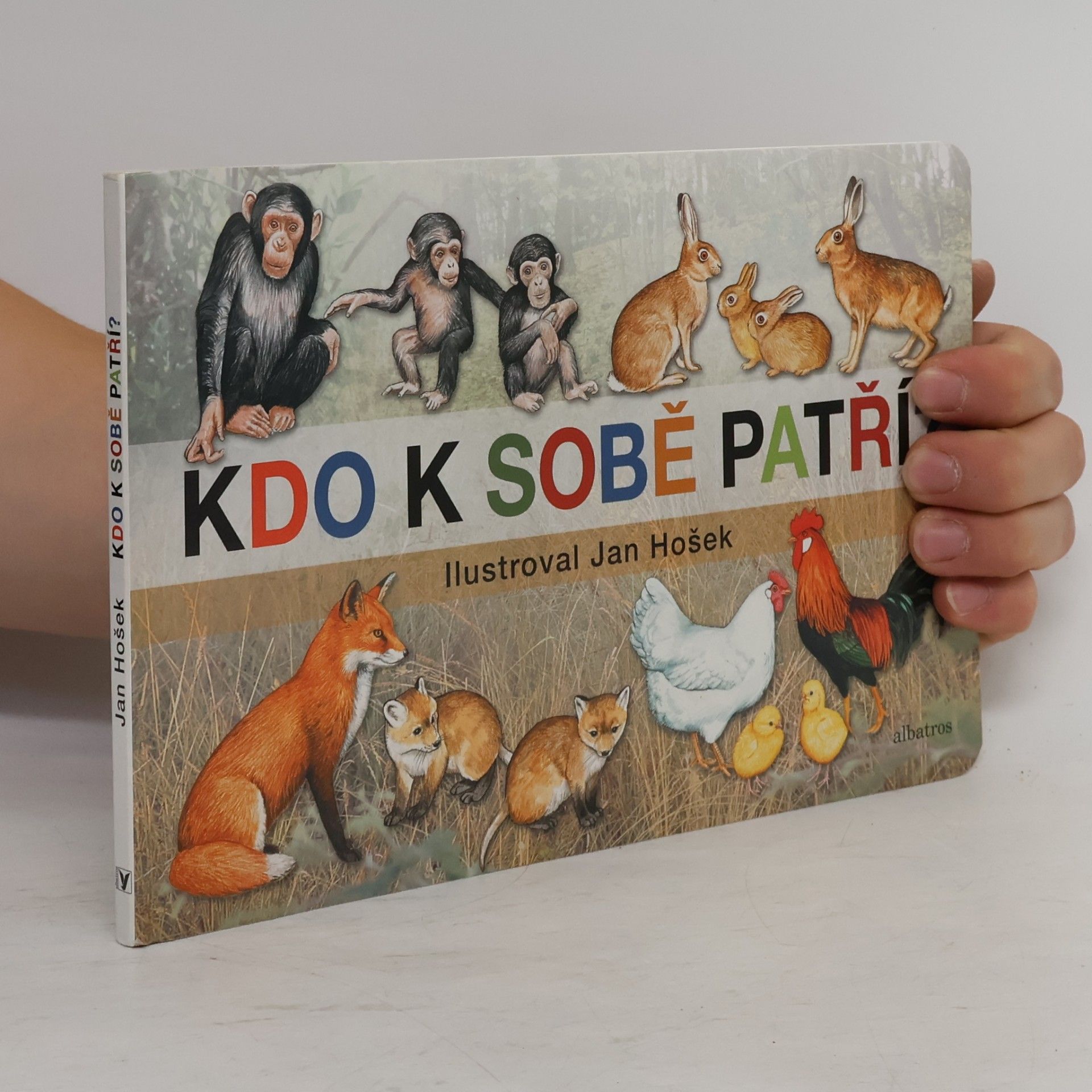 Jan Hošek Kdo k sobě patří?