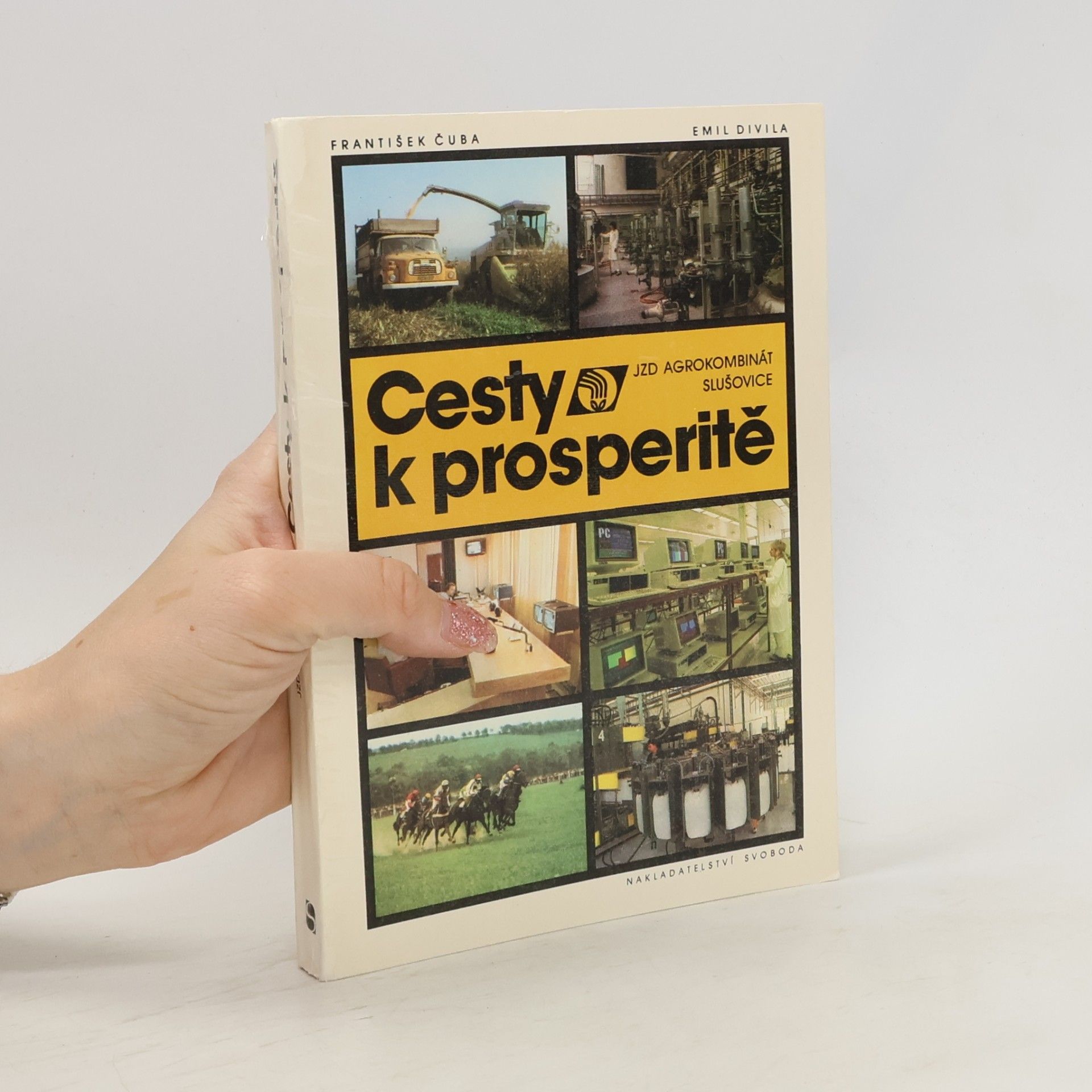 Emil Divila Cesty k prosperitě