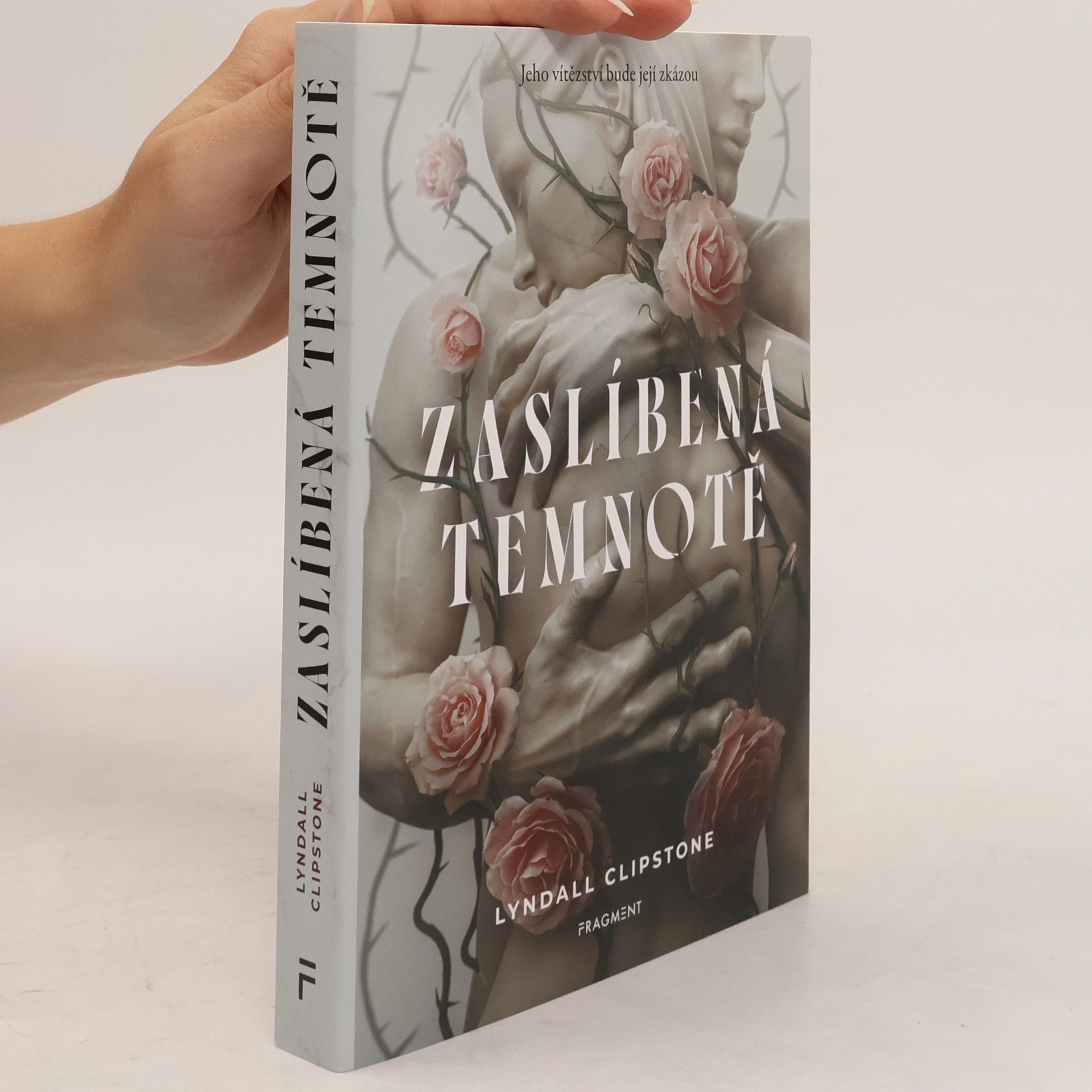 Lyndall Clipstone Zaslíbená temnotě