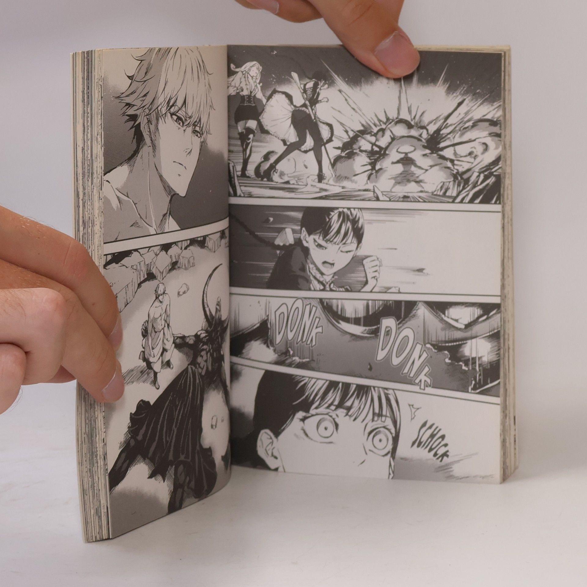 Yuko Keller To the Abandoned Sacred Beasts 1