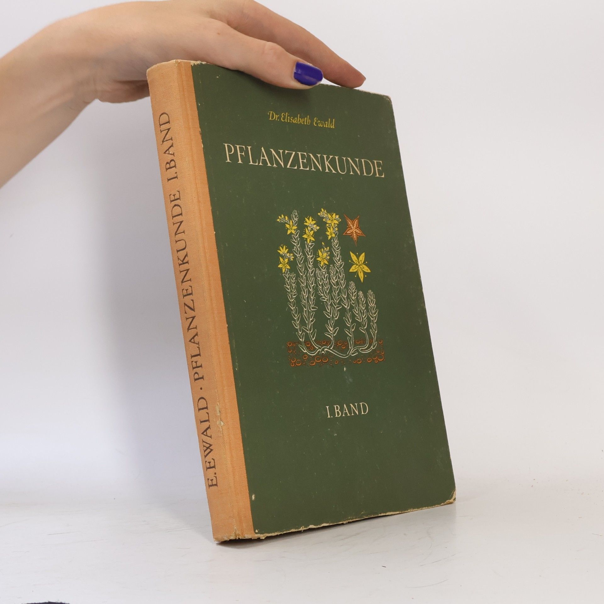 Elisabeth Ewald Pflanzenkunde I. Band
