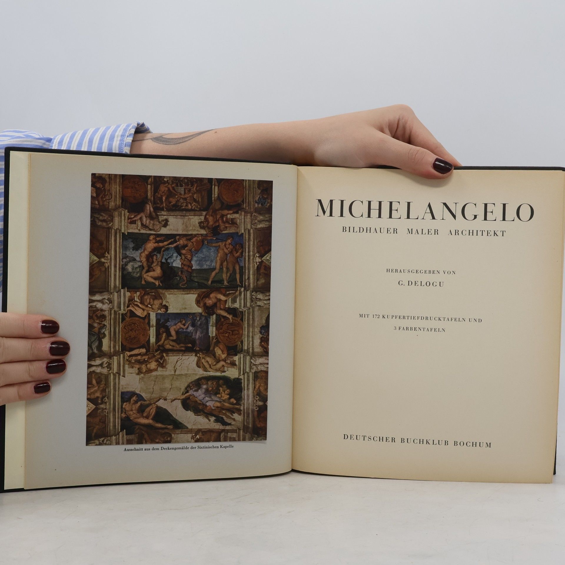 Giuseppe Delogu Michelangelo