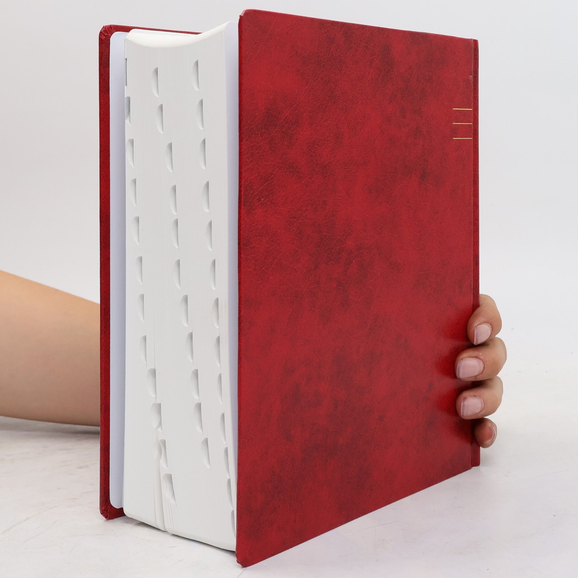 Kolektiv autorů Jeruzalémská Bible