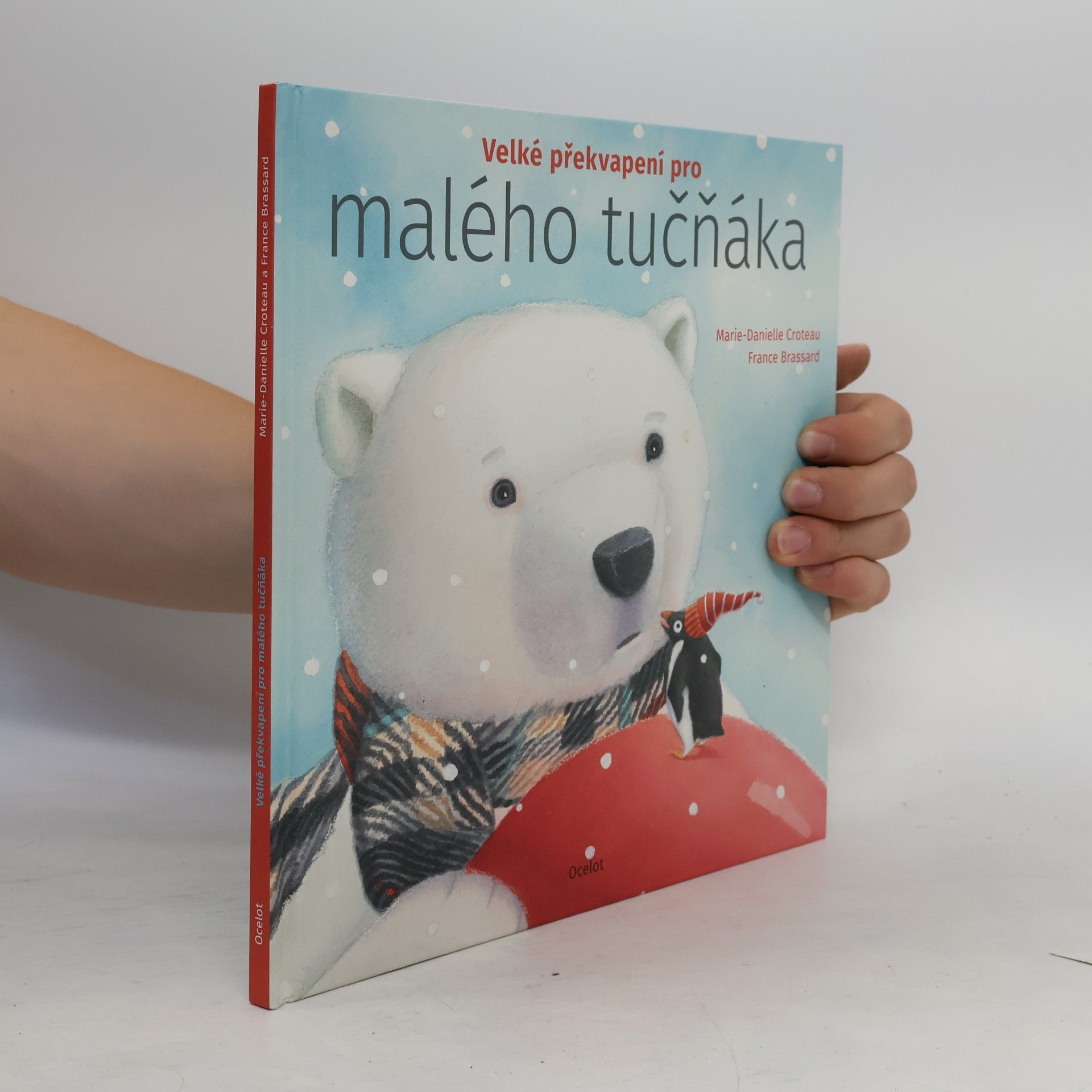 MarieDanielle Croteau Velké překvapení pro malého tučňáka