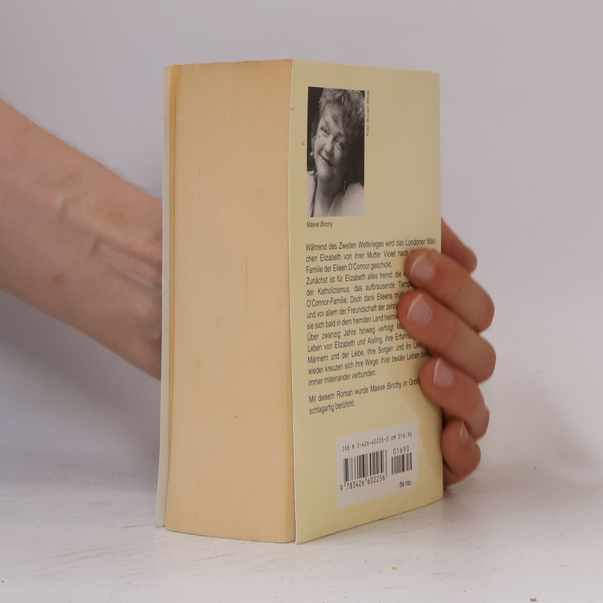 Maeve Binchy Irische Freundschaften