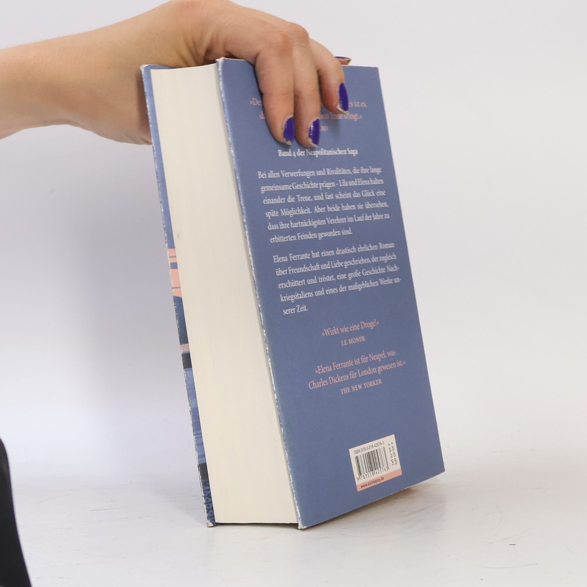Elena Ferrante Die Geschichte Des Verlorenen Kindes