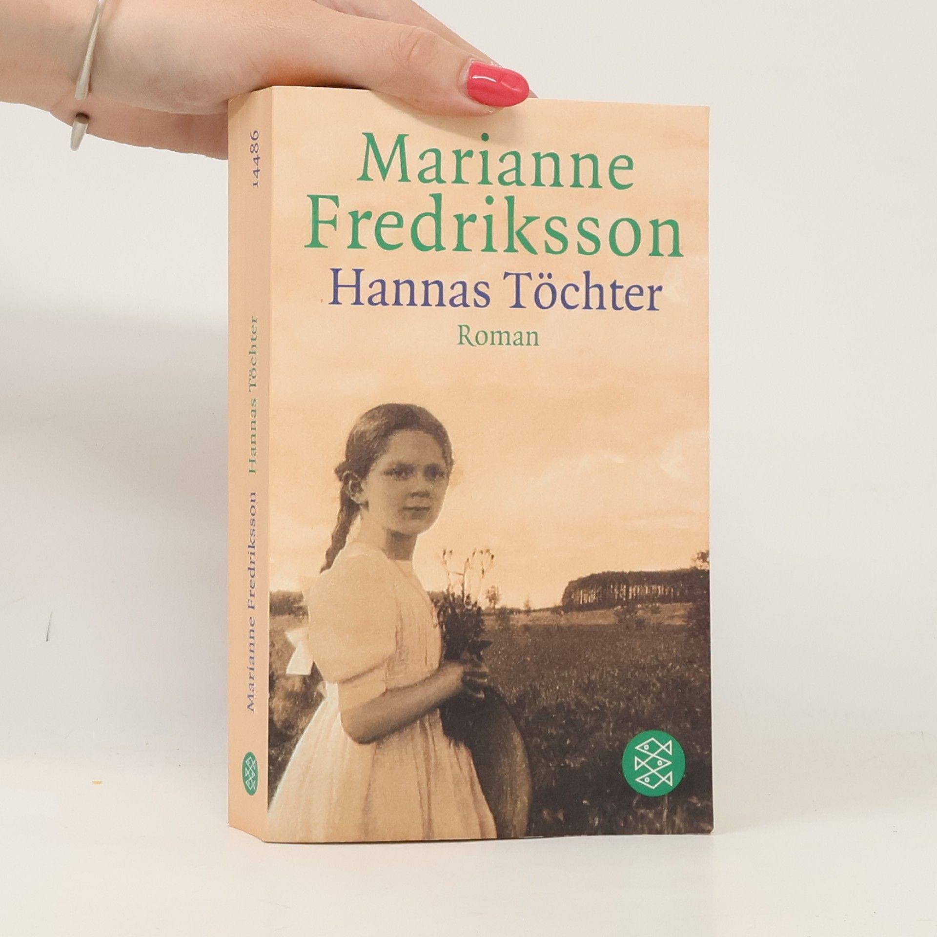 Marianne Fredriksson Hannas Töchter