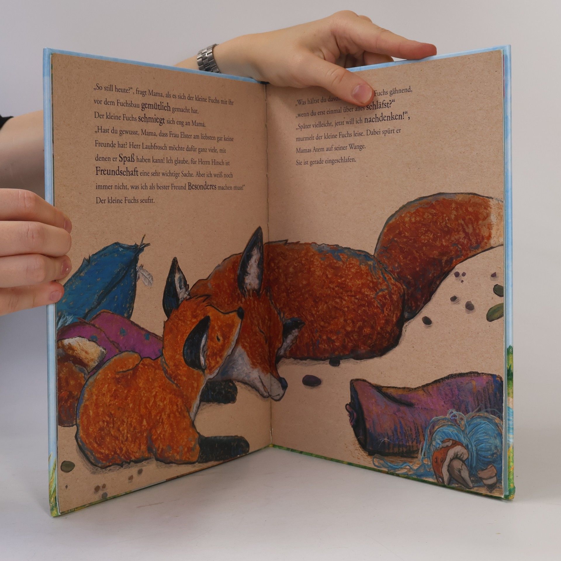 Ulrike Motschiunig Der kleine Fuchs: Mein liebster Freund bist du, kleiner Fuchs!