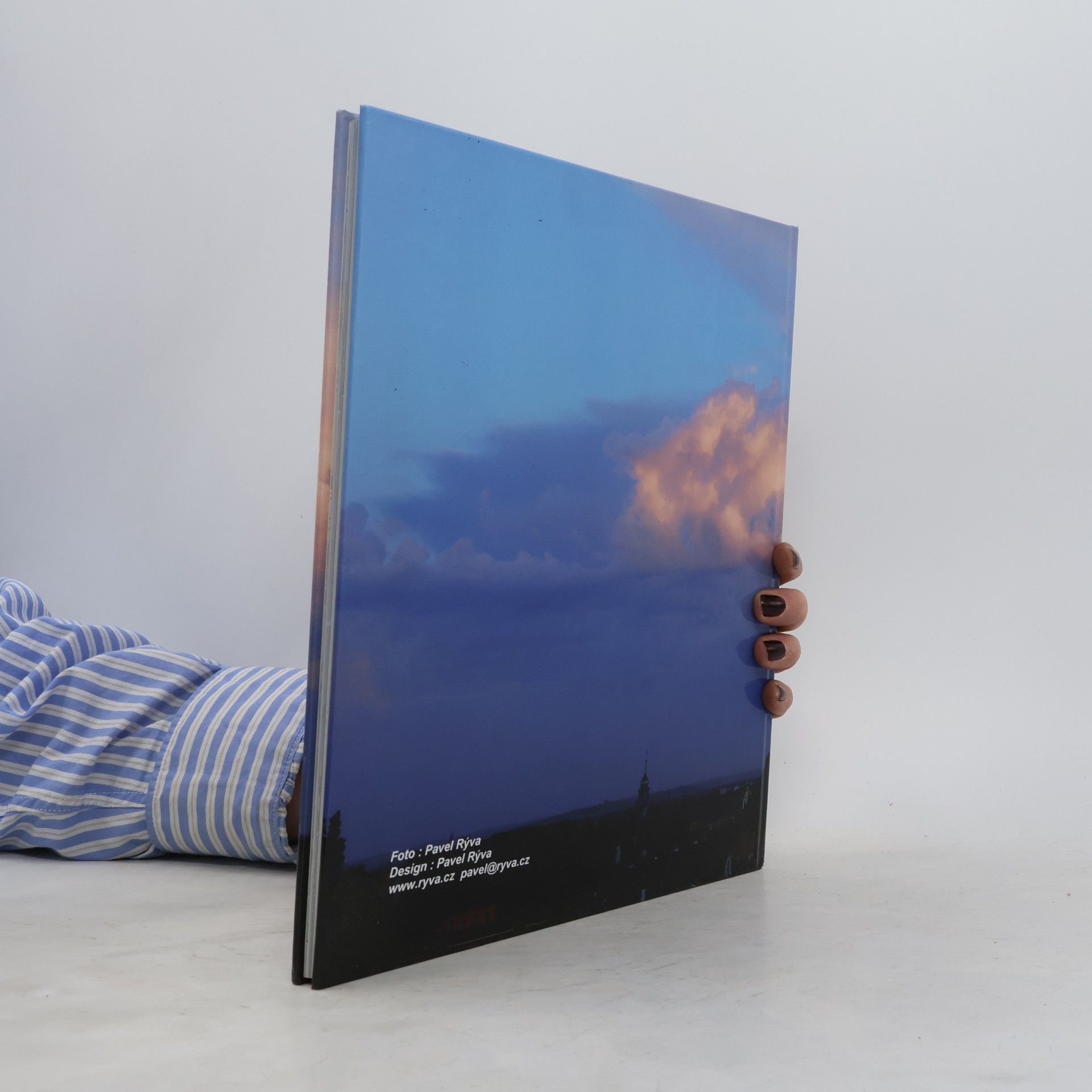 Pavel Rýva Litoměřické věže, věžičky a jiné zajímavosti