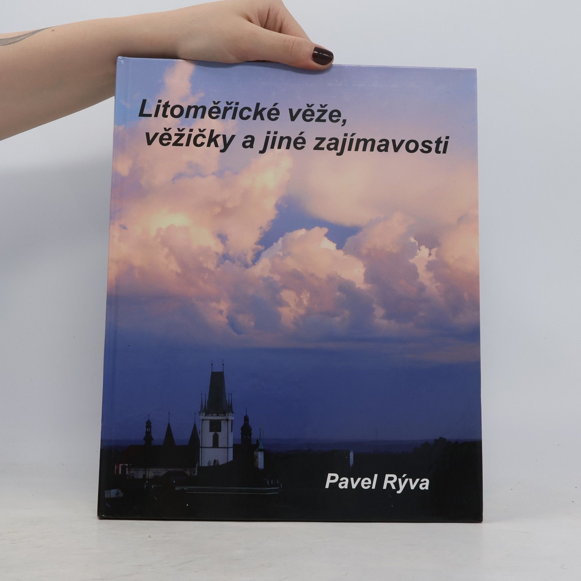 Pavel Rýva Litoměřické věže, věžičky a jiné zajímavosti