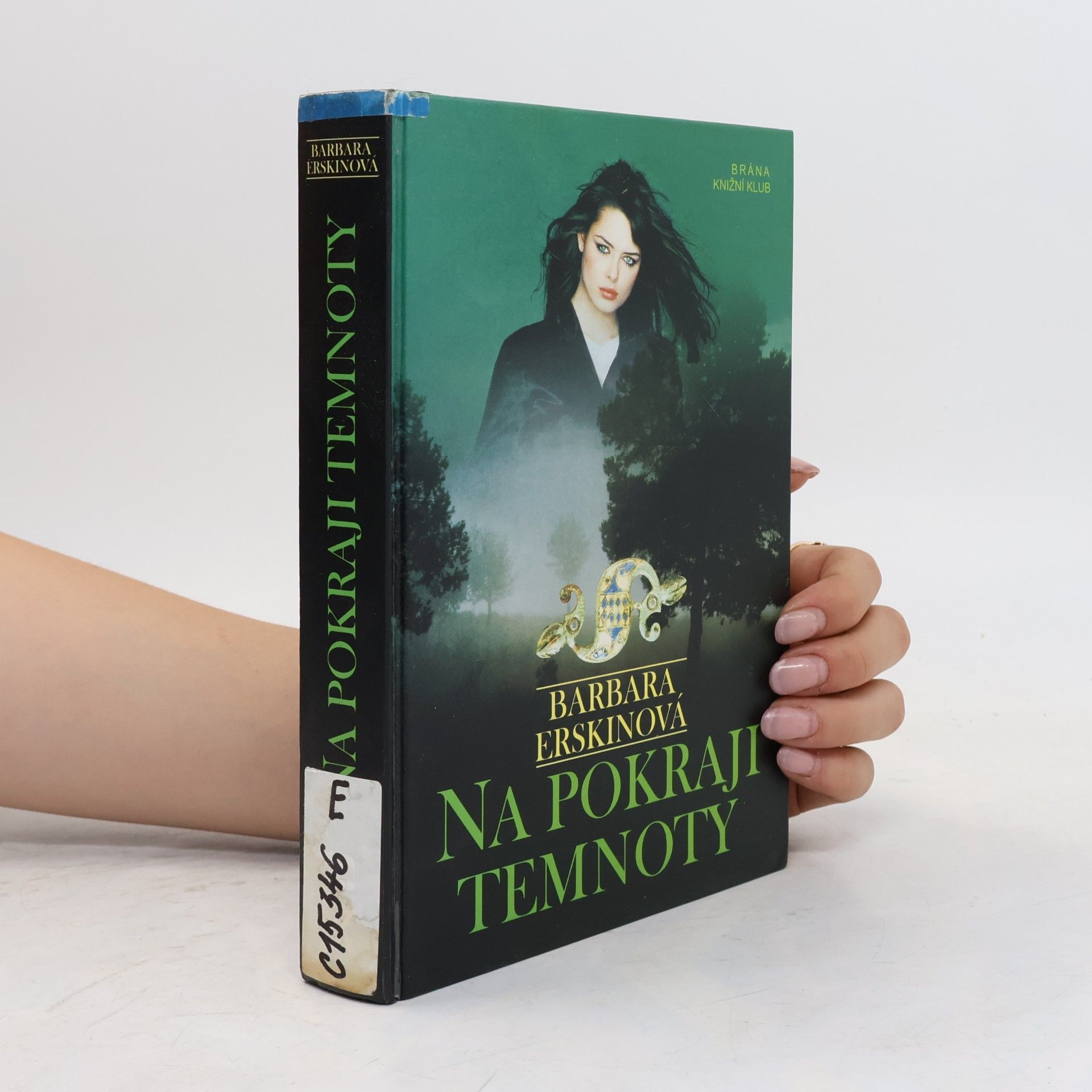 Barbara Erskinová Na pokraji temnoty