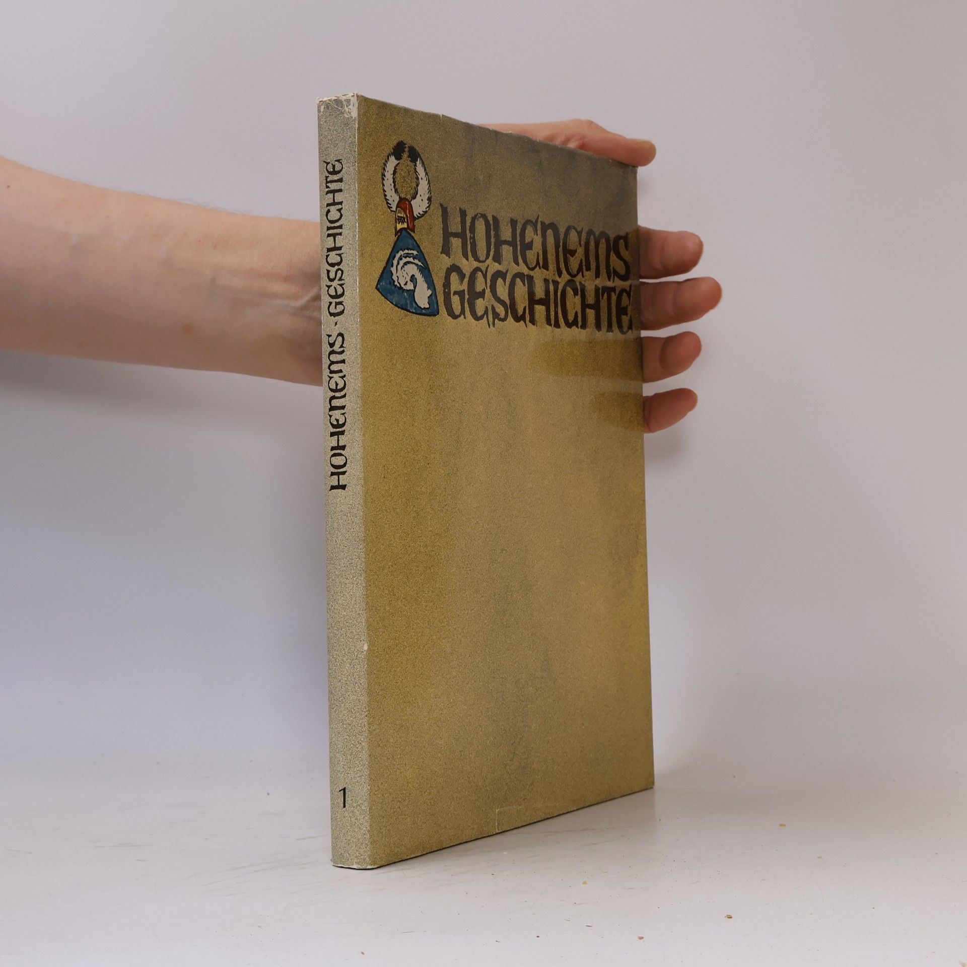 kolektiv Hohenems Geschichte 1
