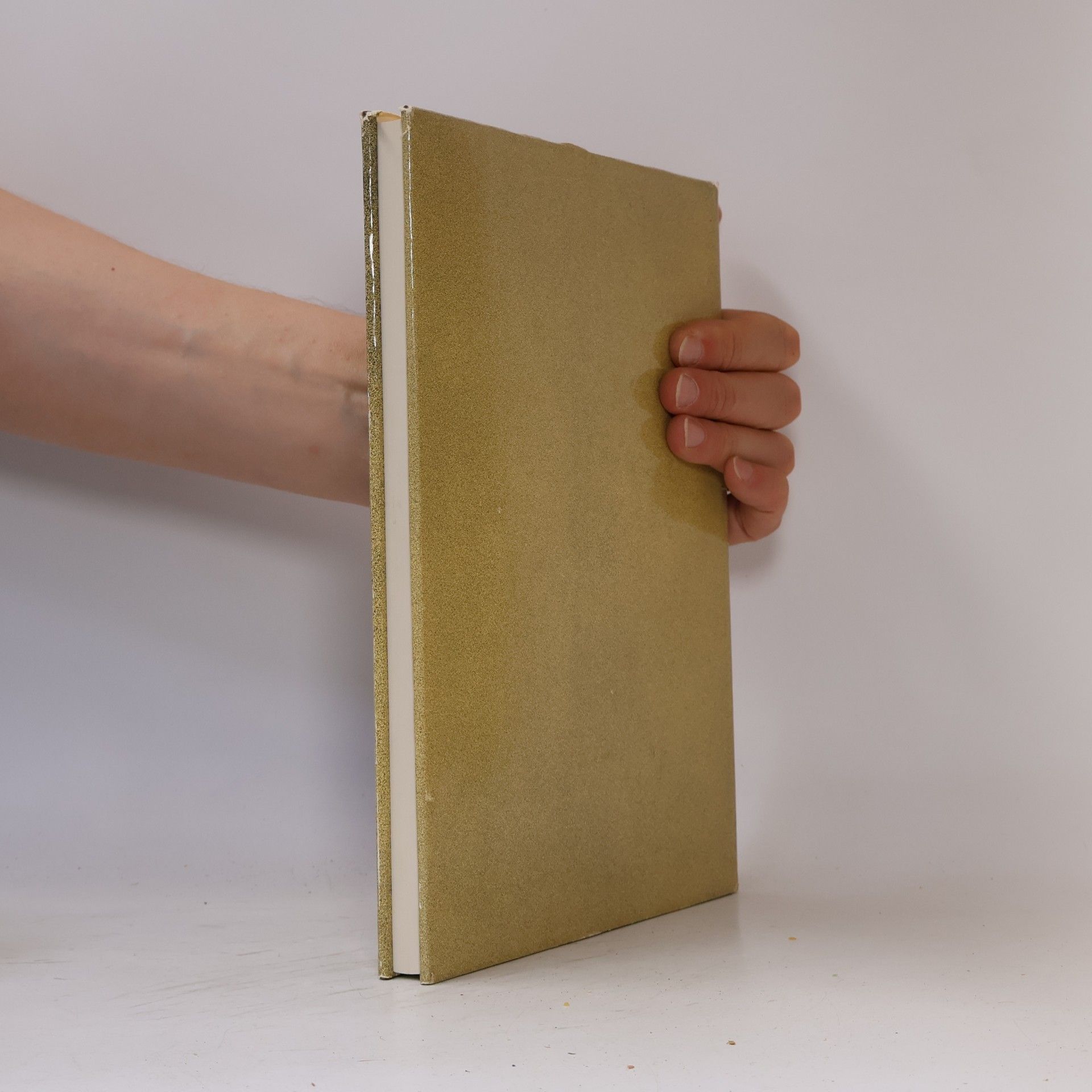 kolektiv Hohenems Geschichte 1