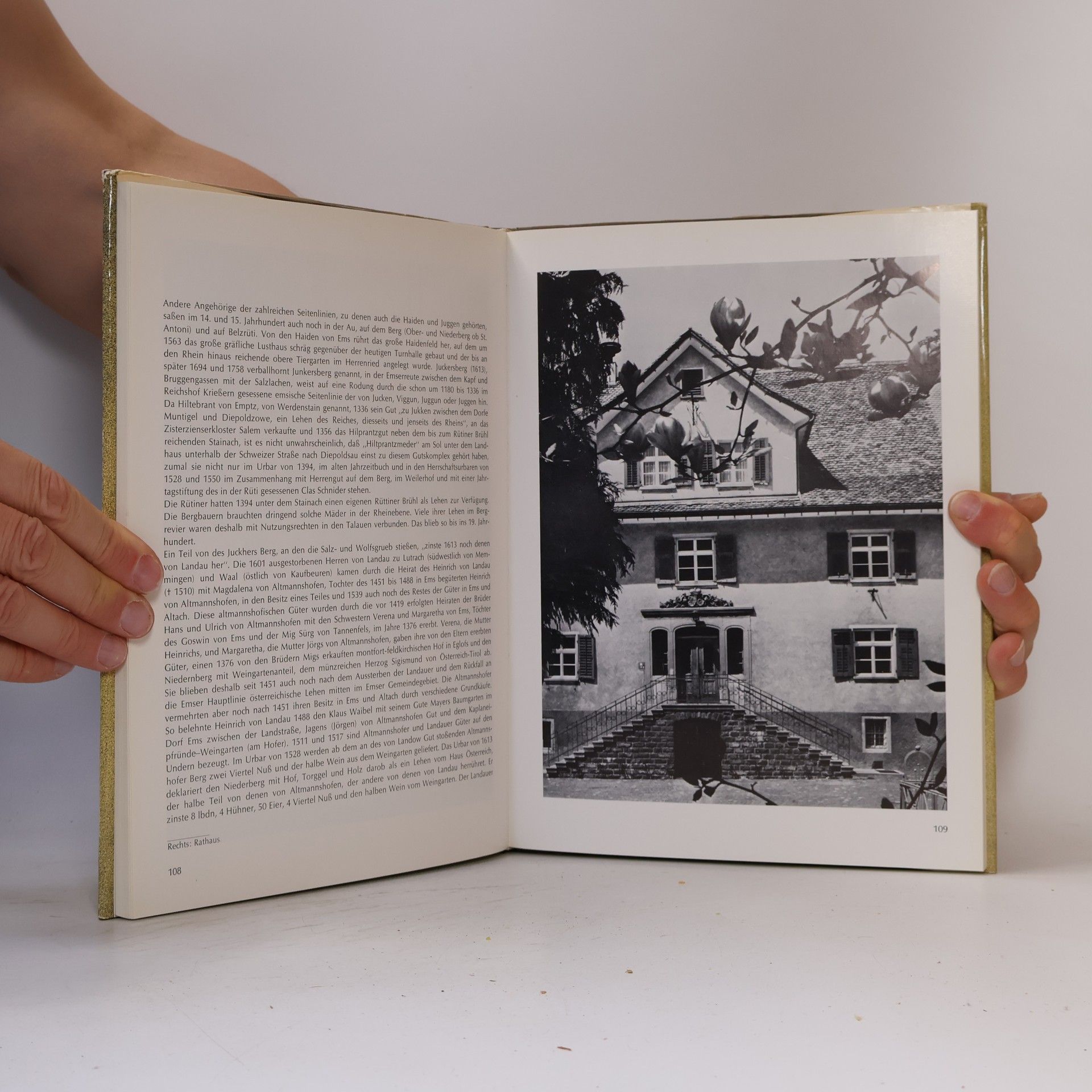 kolektiv Hohenems Geschichte 1