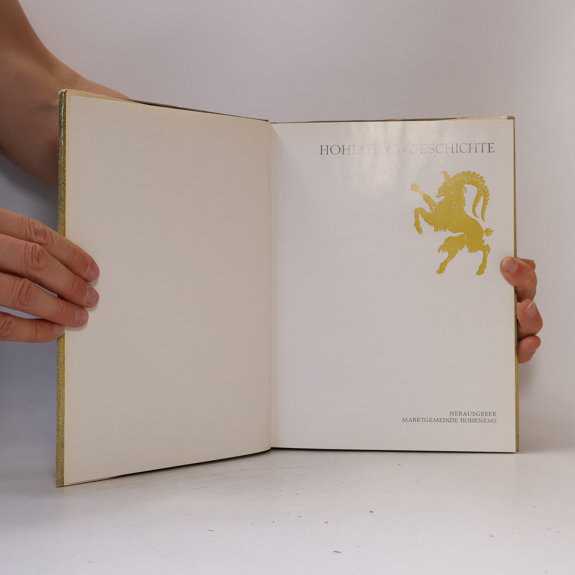 kolektiv Hohenems Geschichte 1