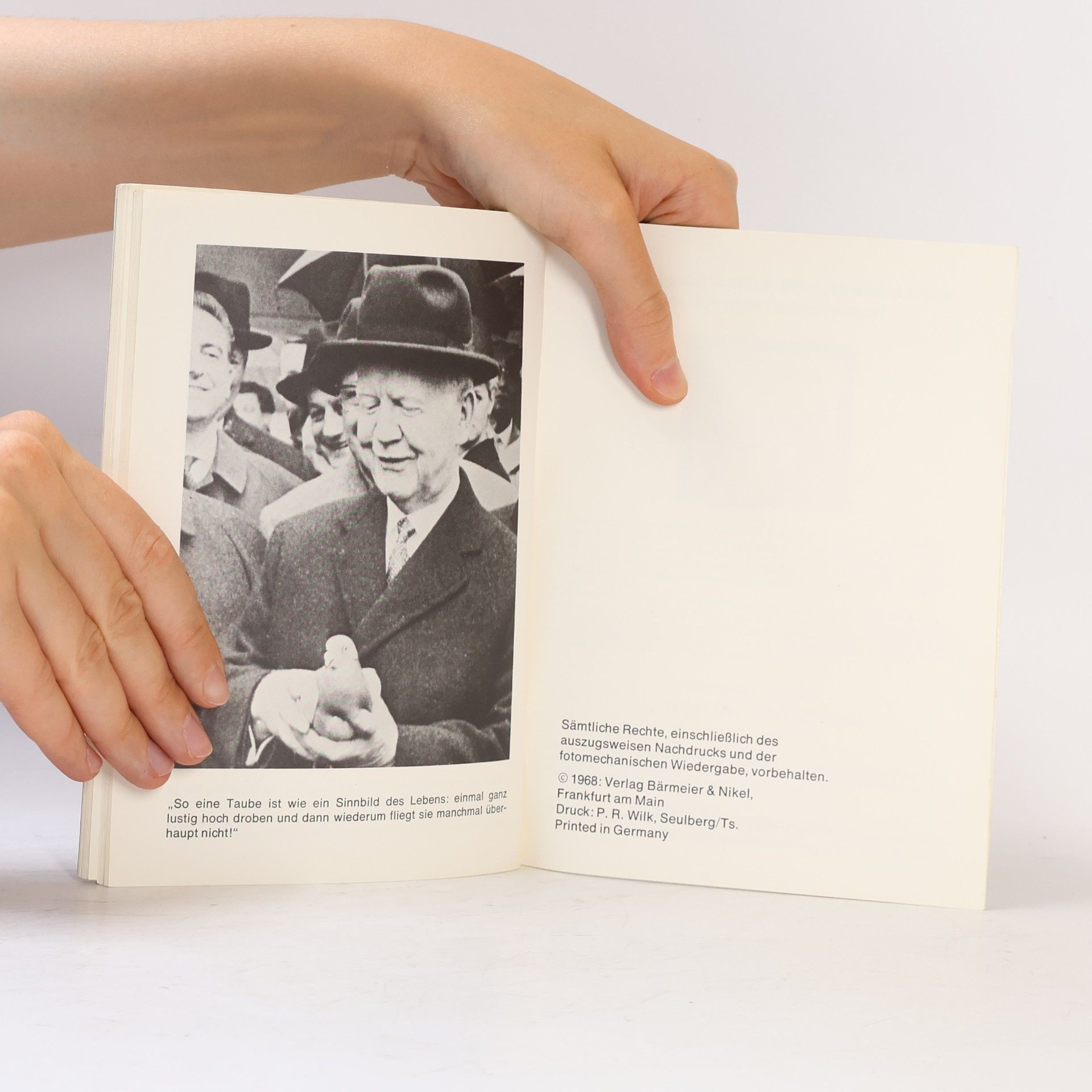 Harald Rolf Sattler I like Lübke