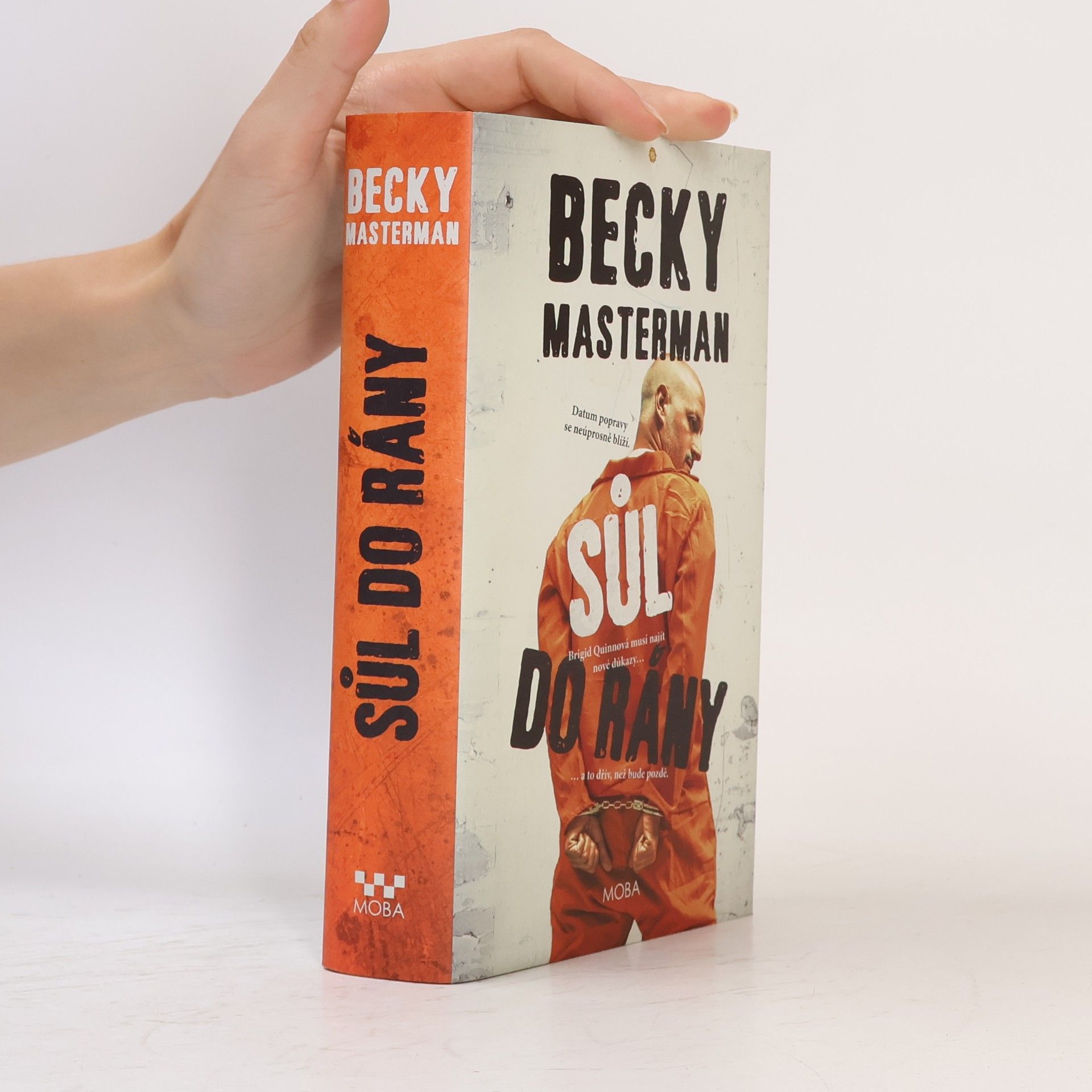Becky Masterman Sůl do rány