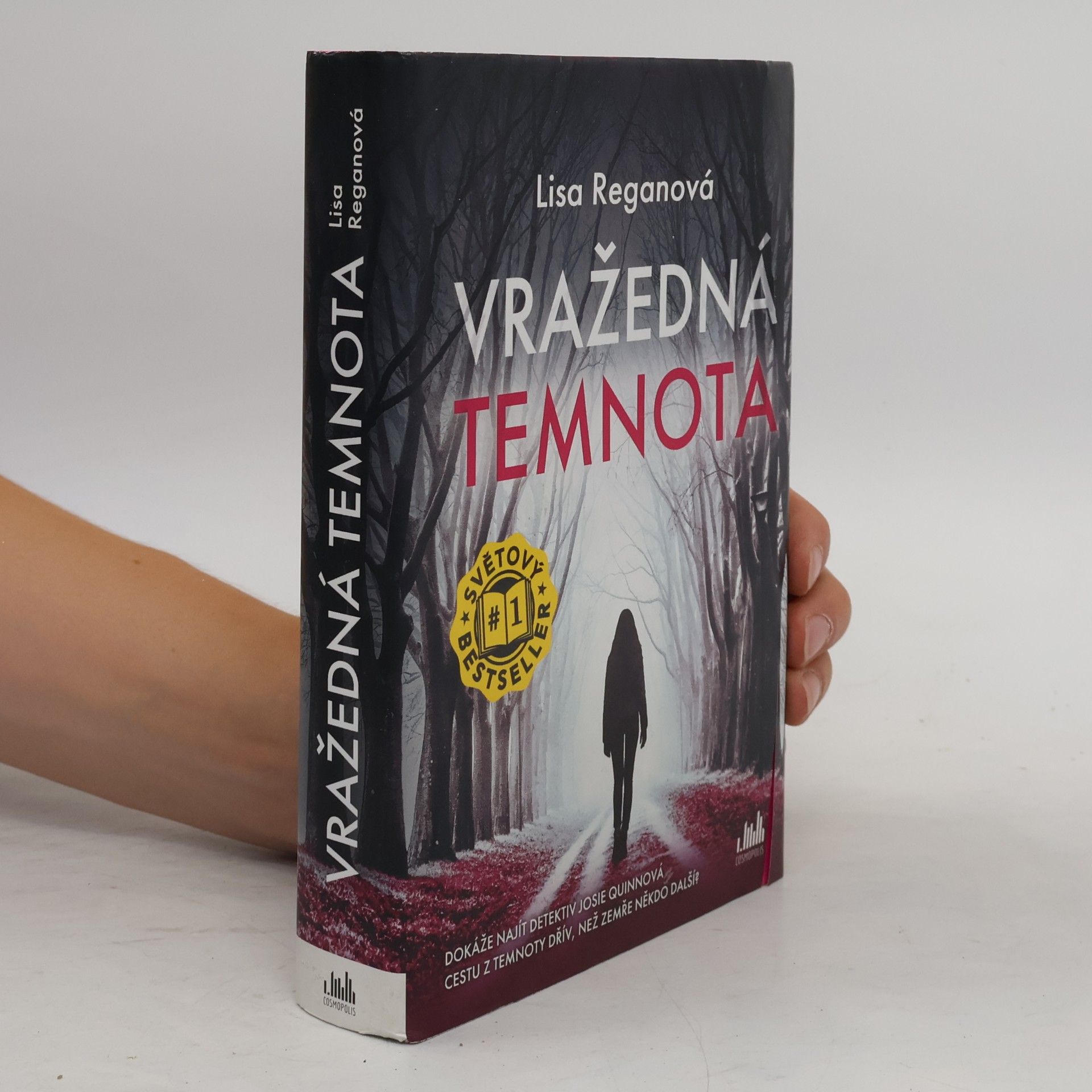 Lisa Regan Vražedná temnota
