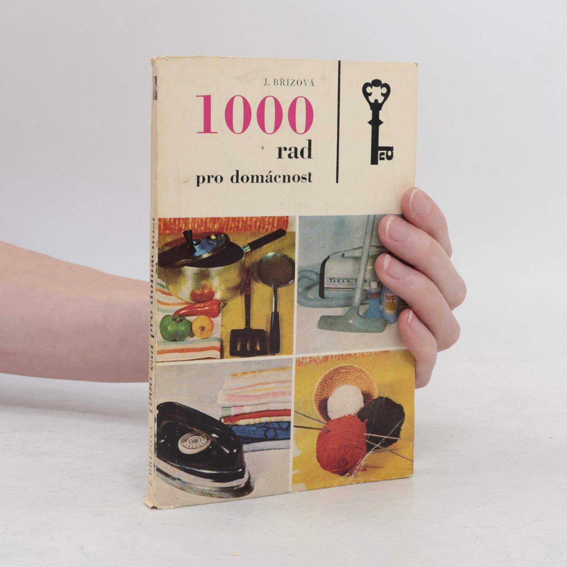 Joza Břízová 1000 rad pro domácnost