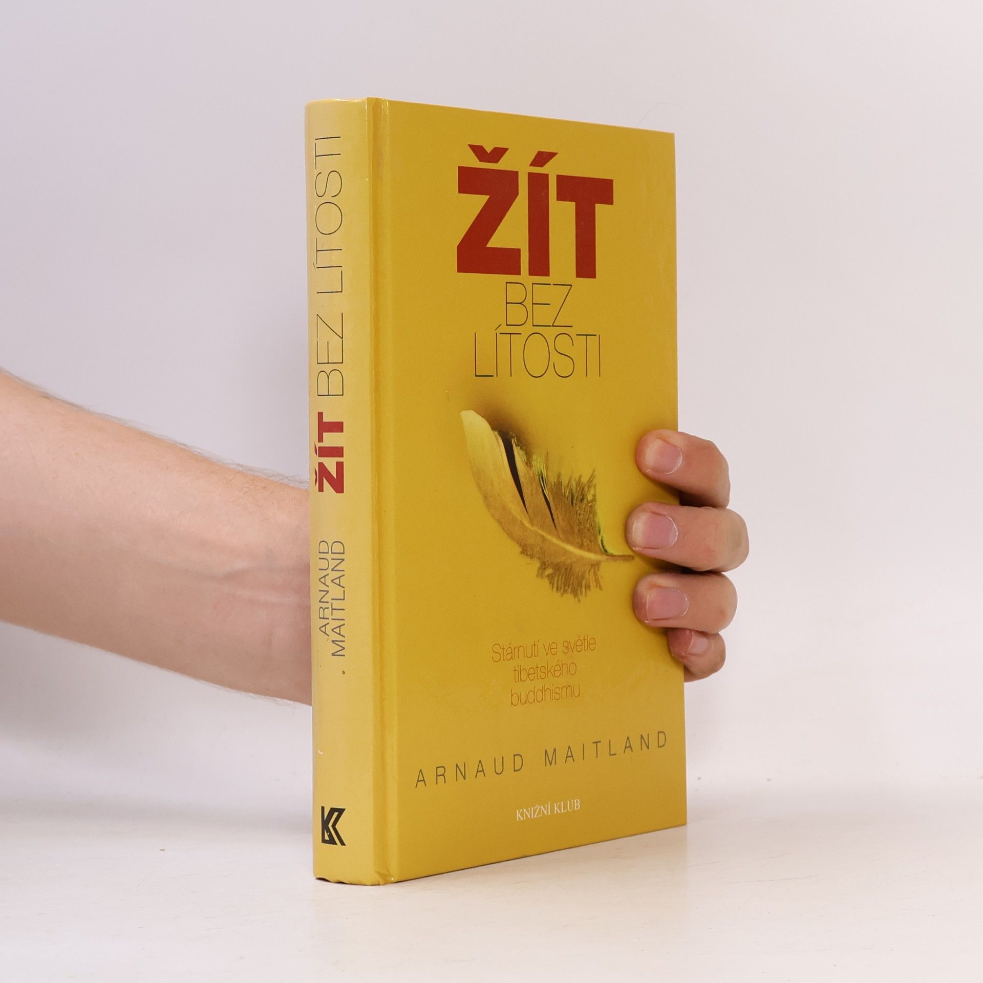 Arnaud Maitland Žít bez lítosti. Stárnutí ve světle tibetského buddhismu